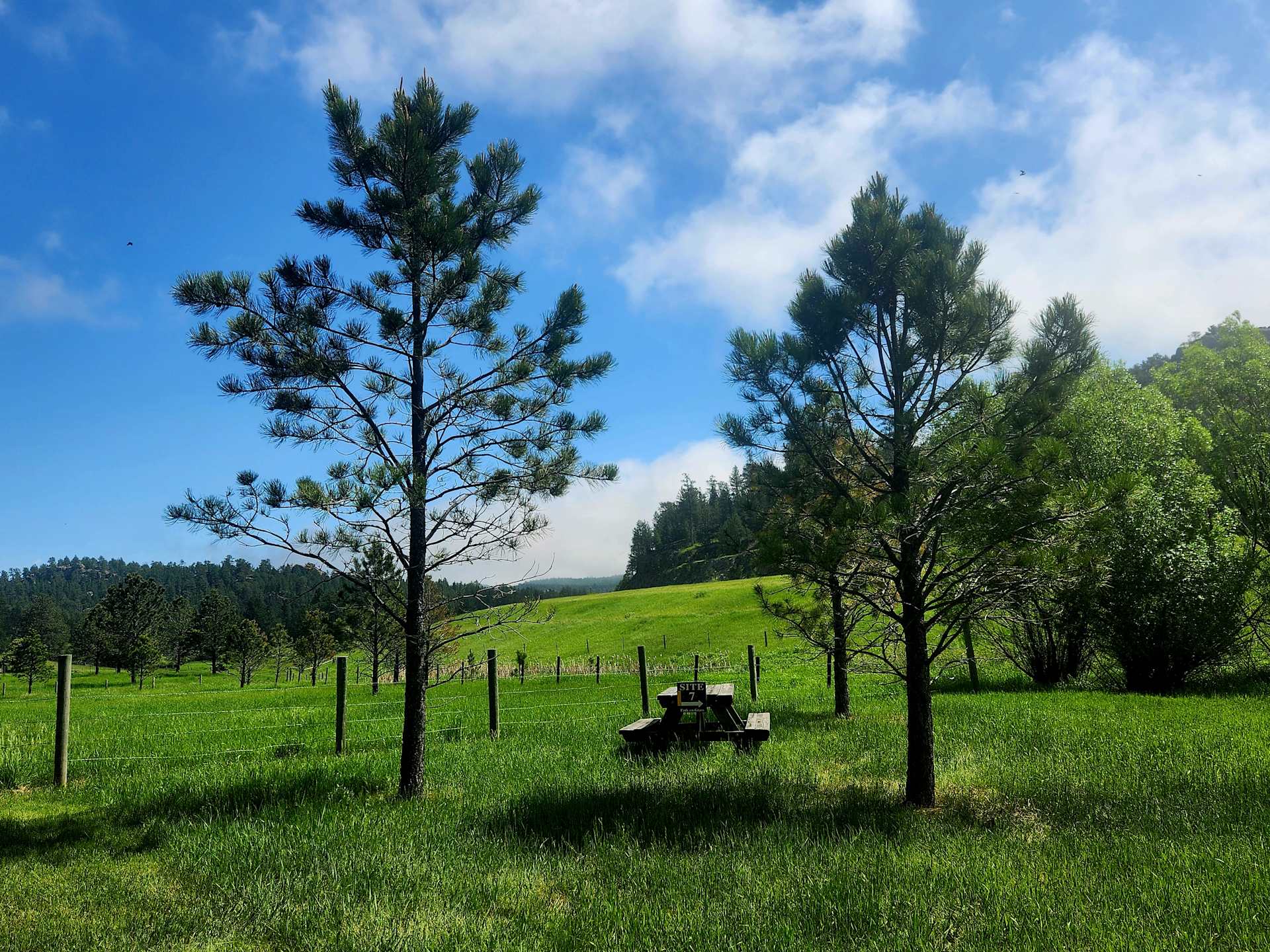 Picture of the site