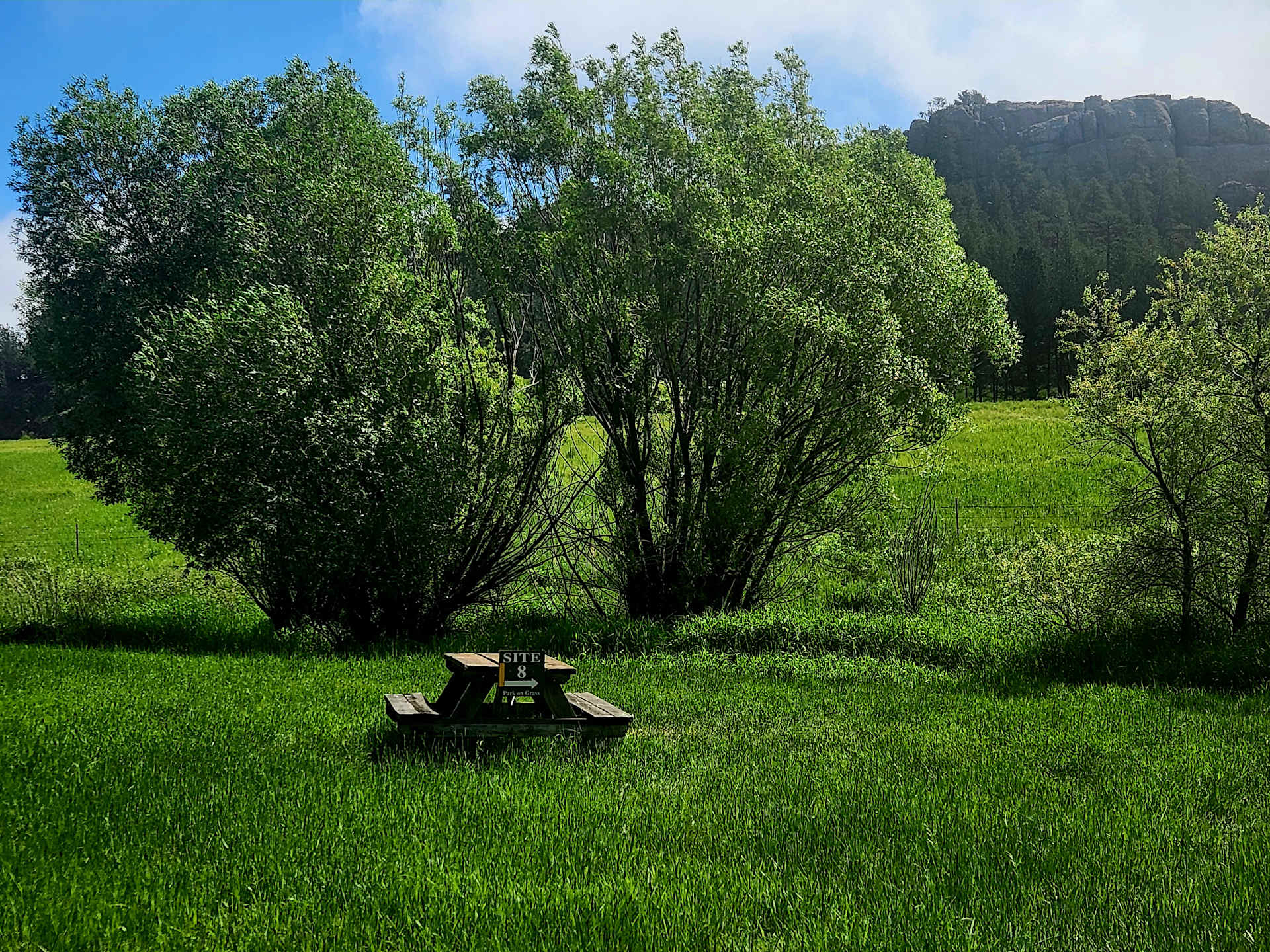Picture of the site