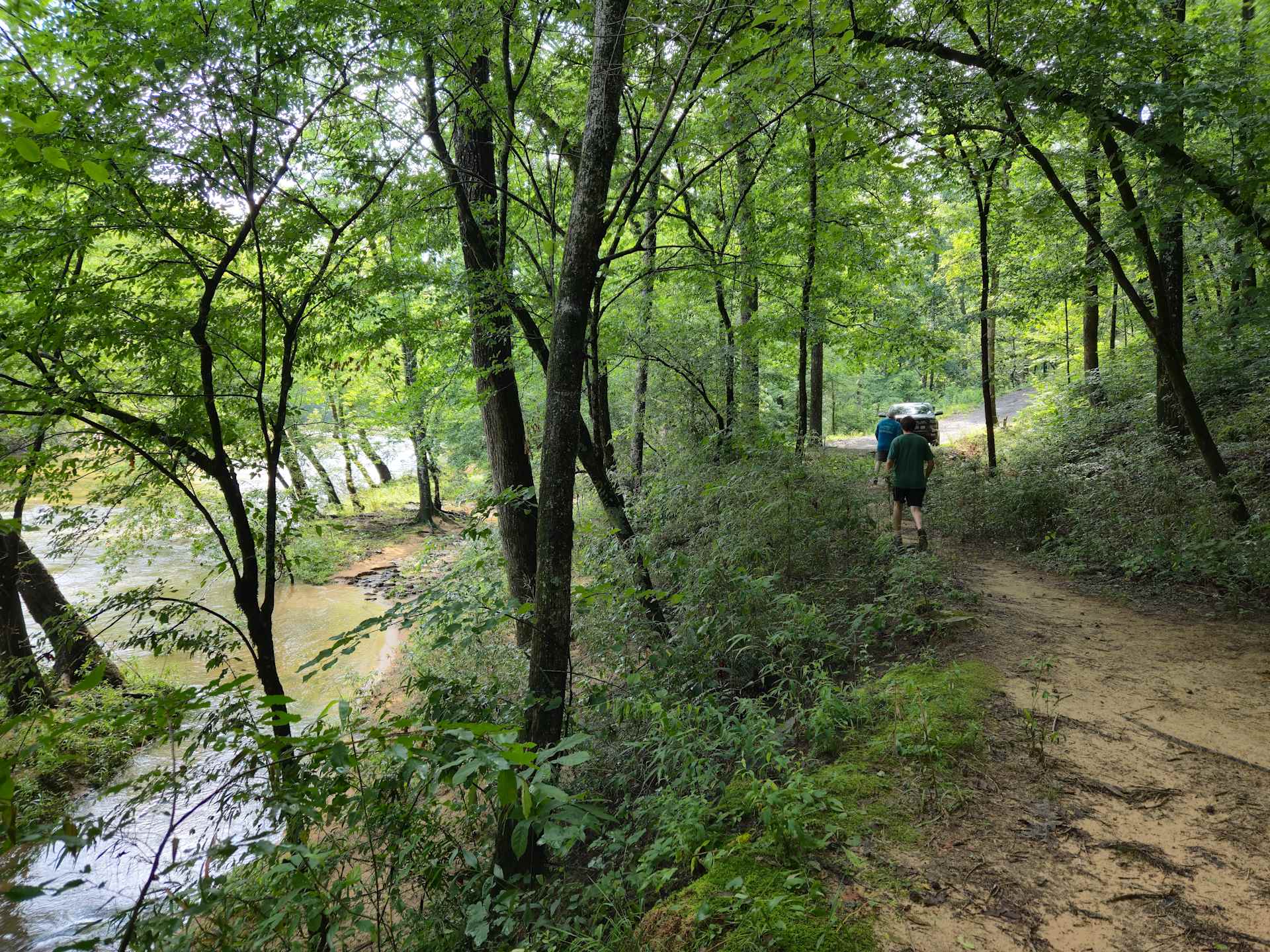 Picture of the site