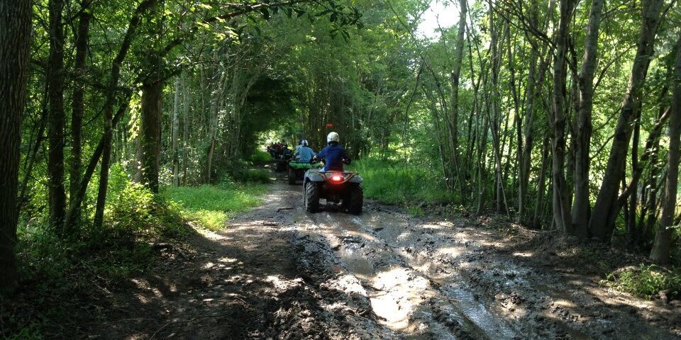 Carolina Backwoods - Photo 2