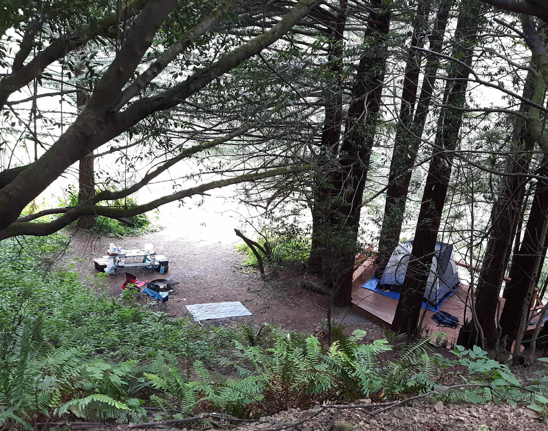 Picture of the site