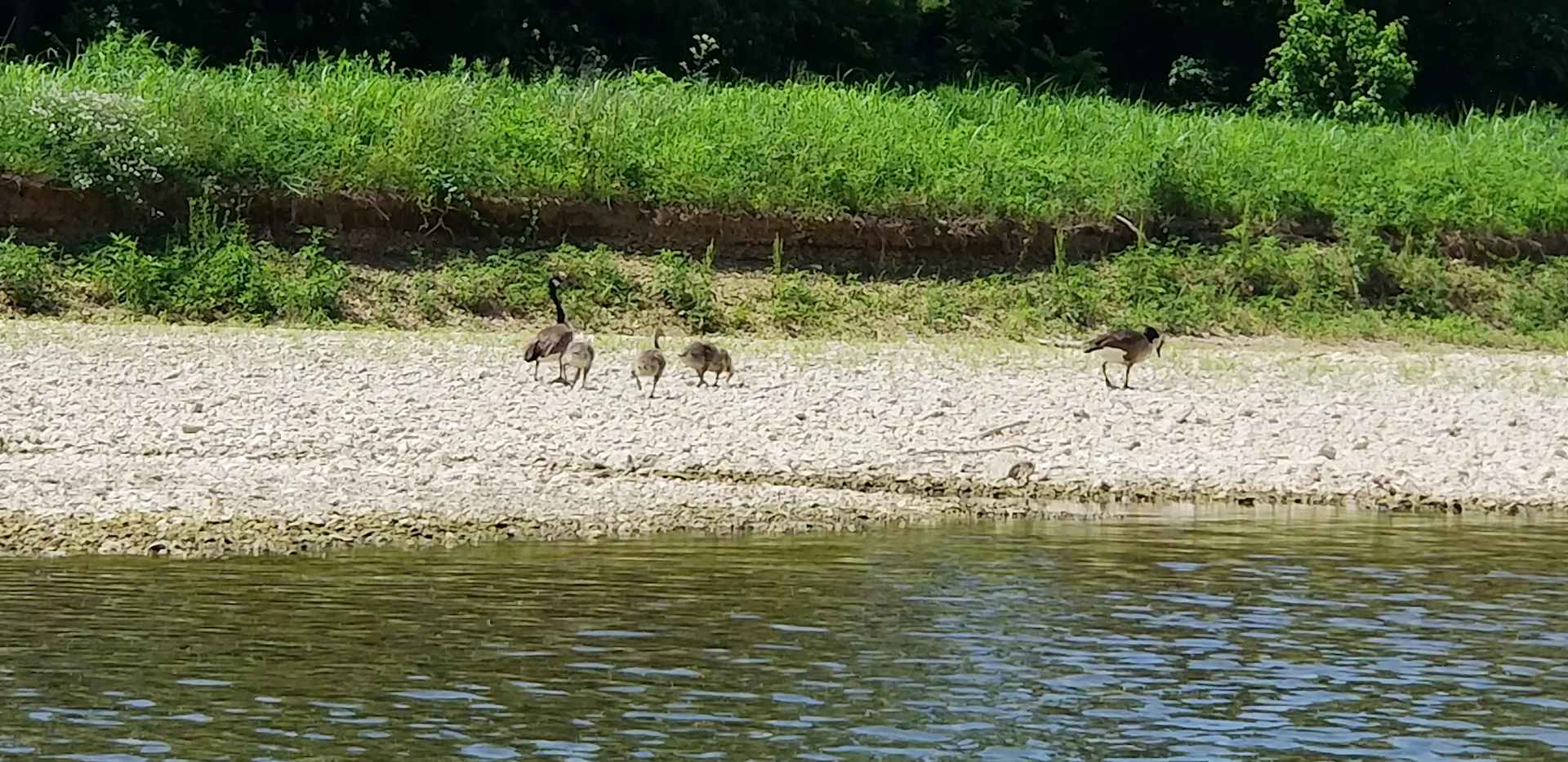 Hog Heaven Canoe & Camp - Photo 2