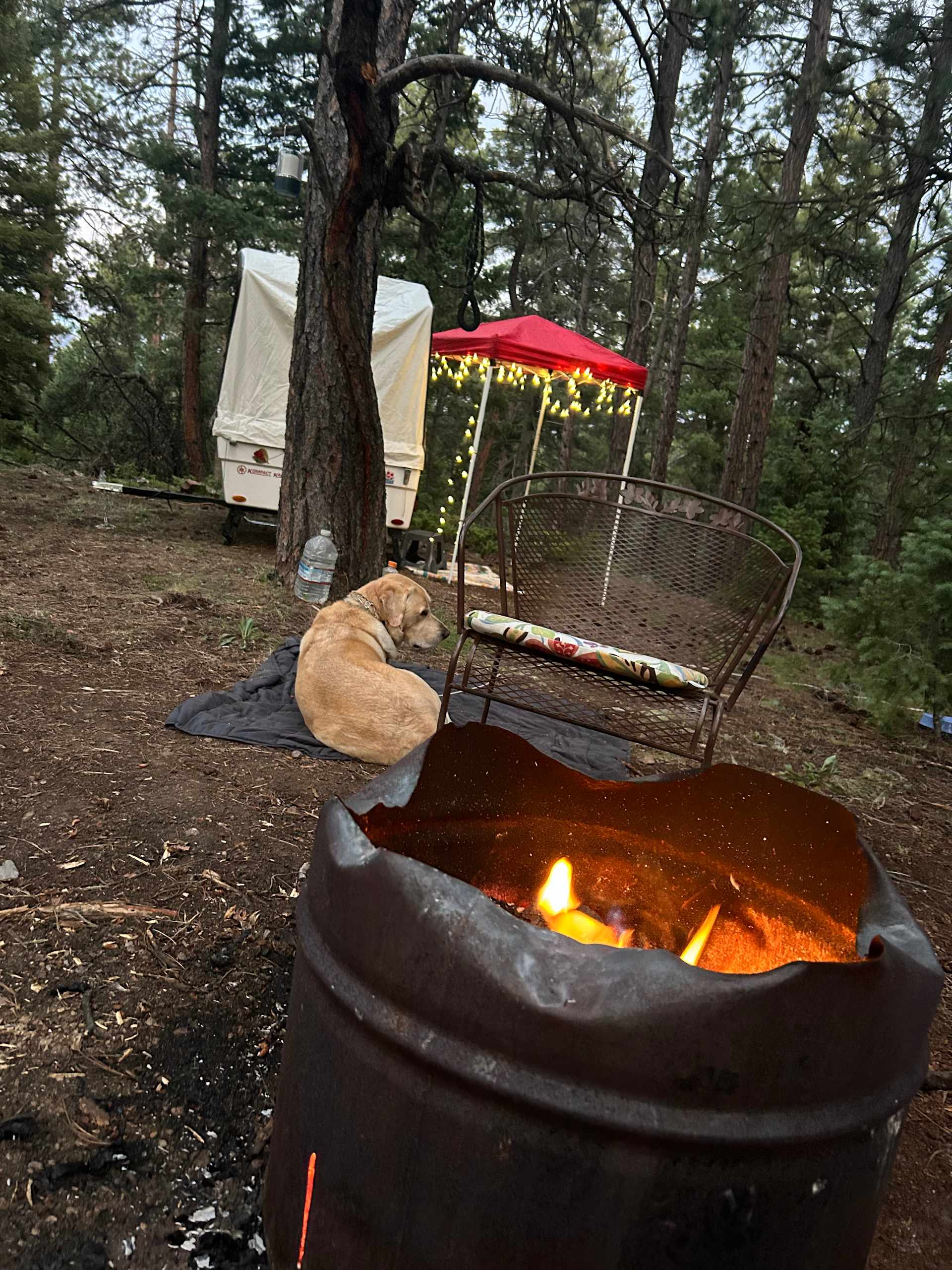 Picture of the site