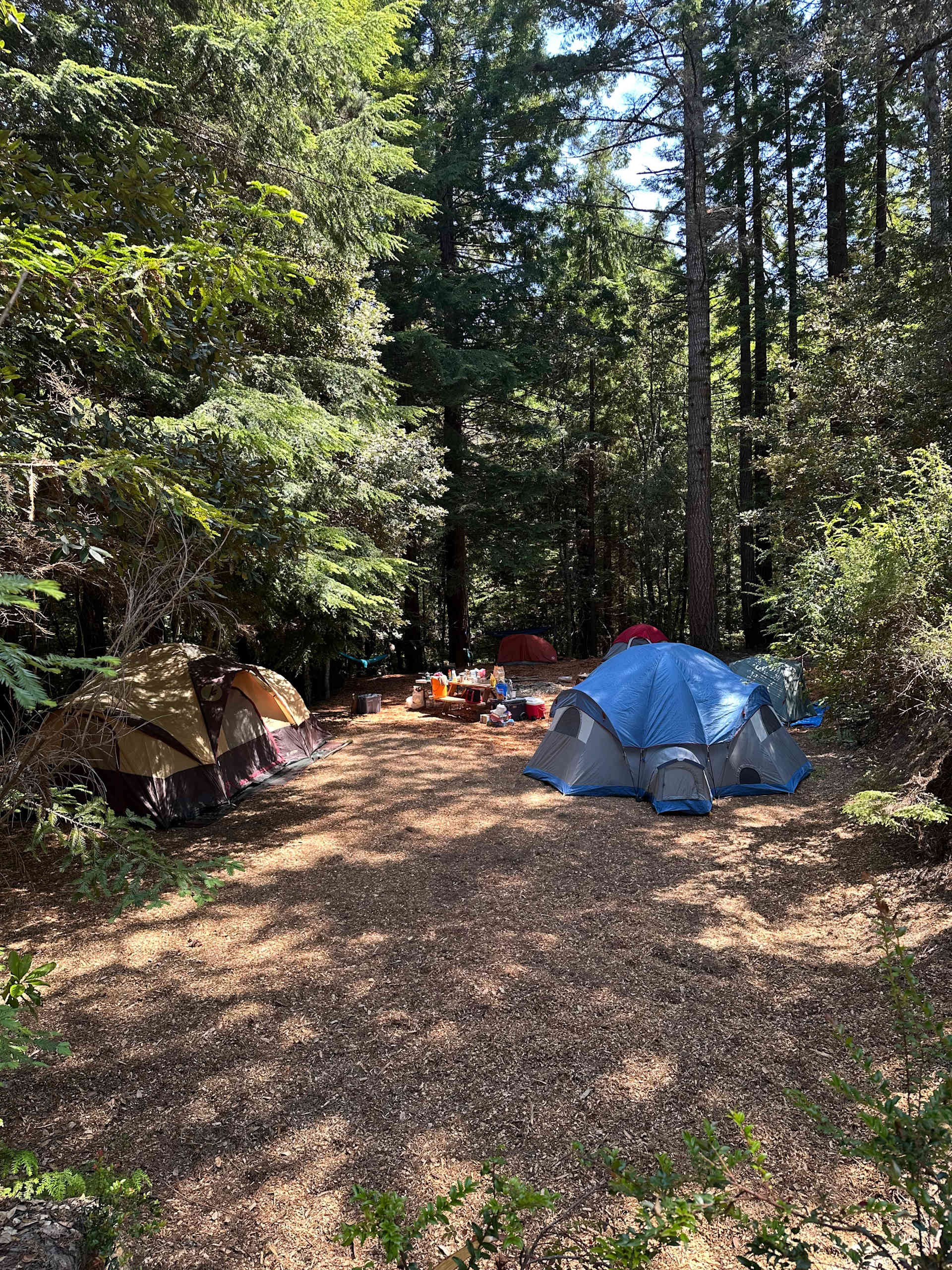 Teton Crest Trail Camping Zones Teton Crest Trail Map 2025