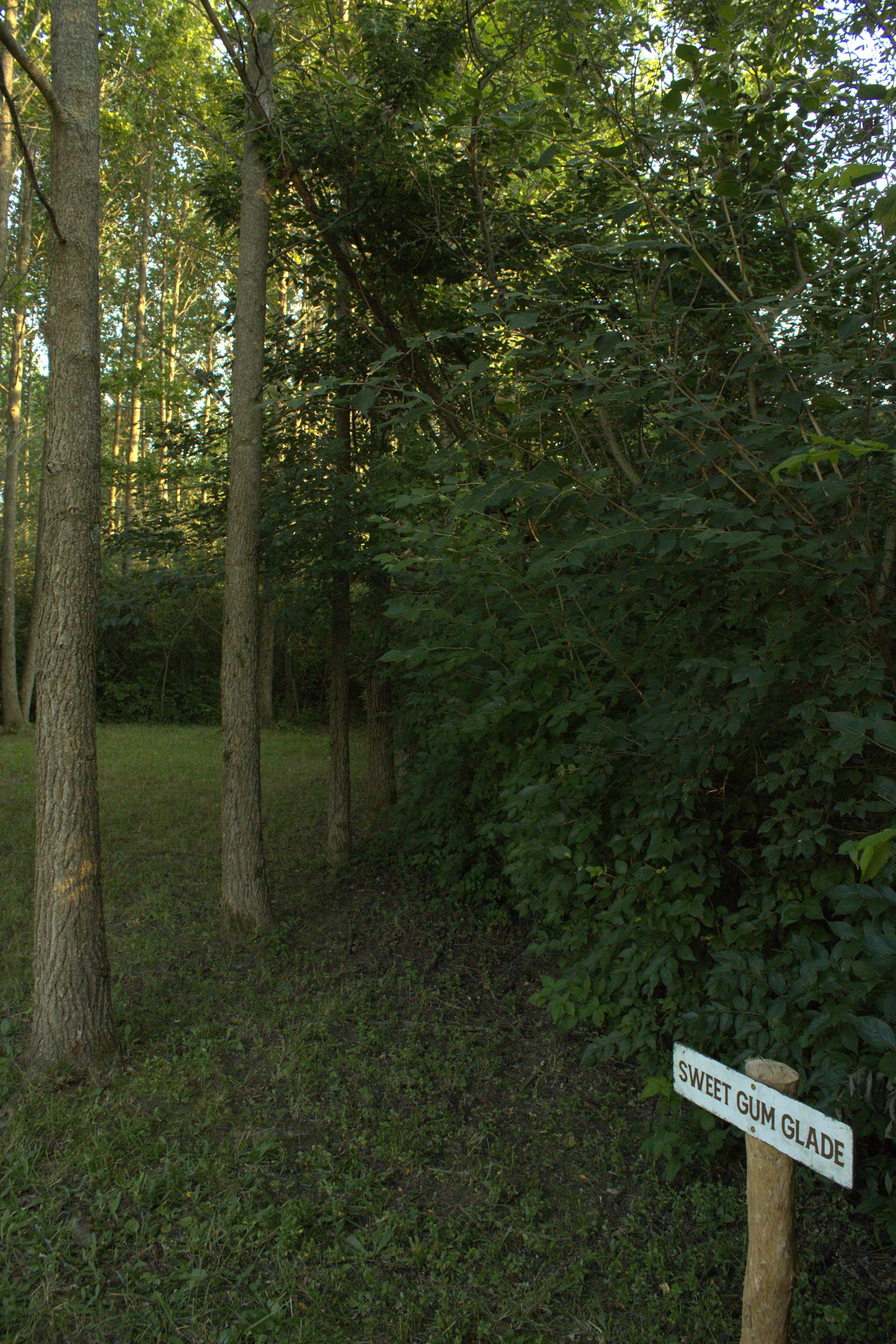 Madden Farm