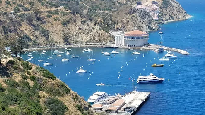 Catalina Island Company - Photo 3