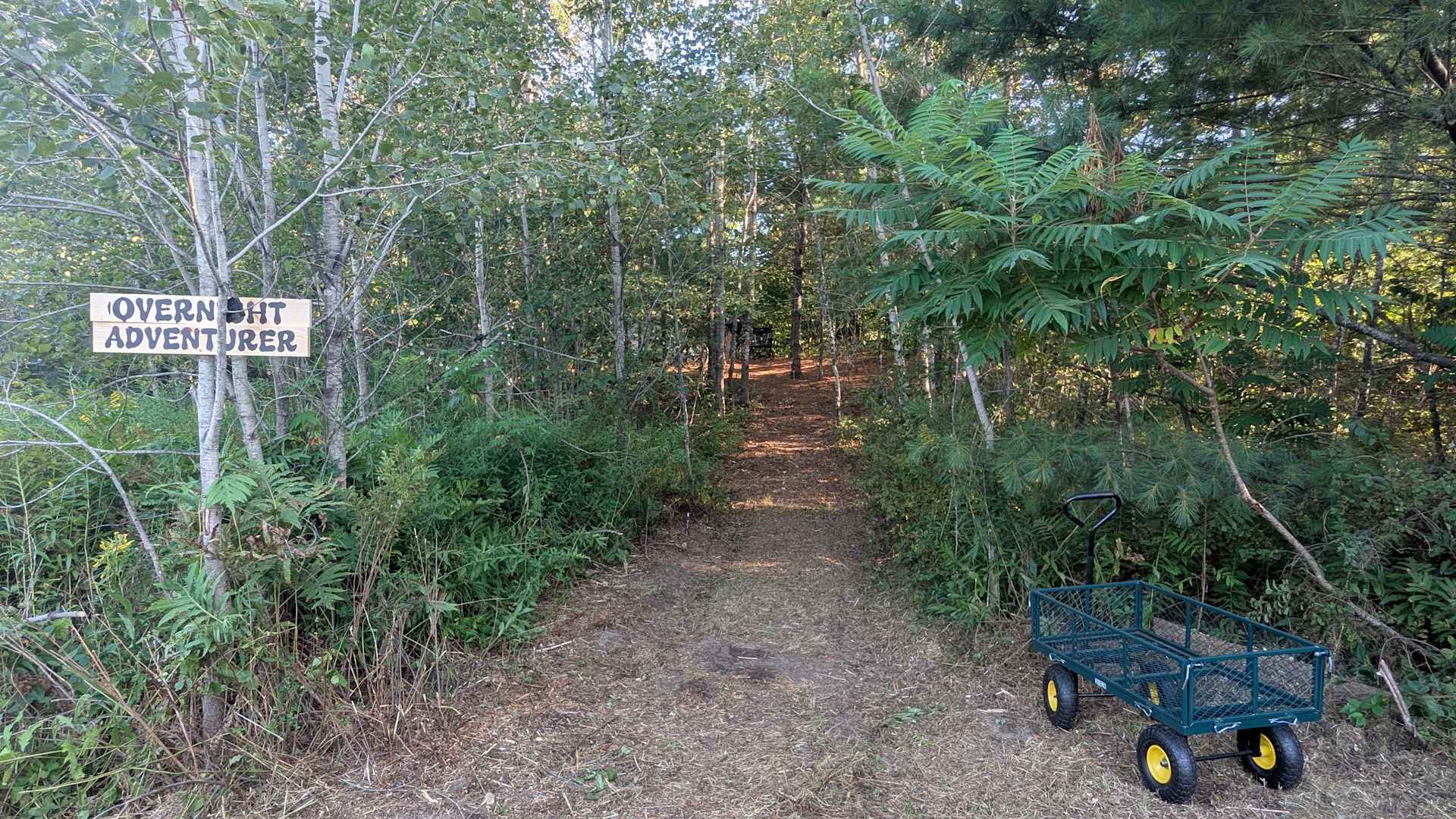 Picture of the site