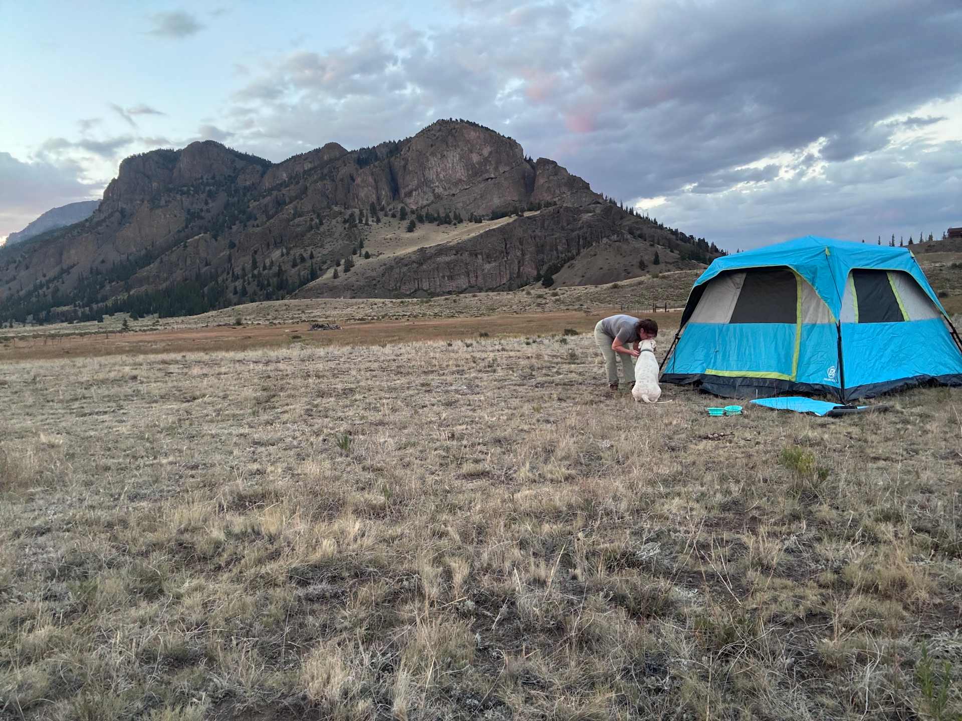 Picture of the site