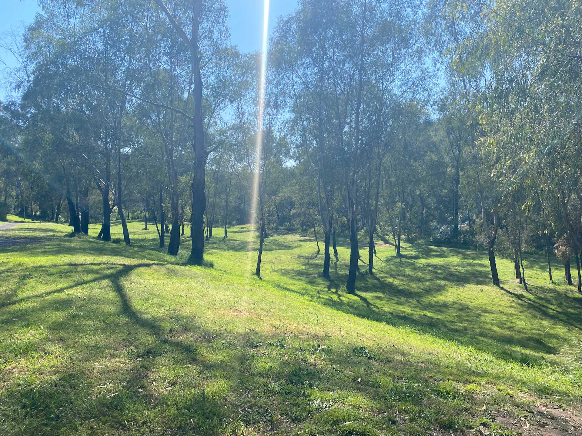 Whispering Gums Colo River Camping - Photo 2