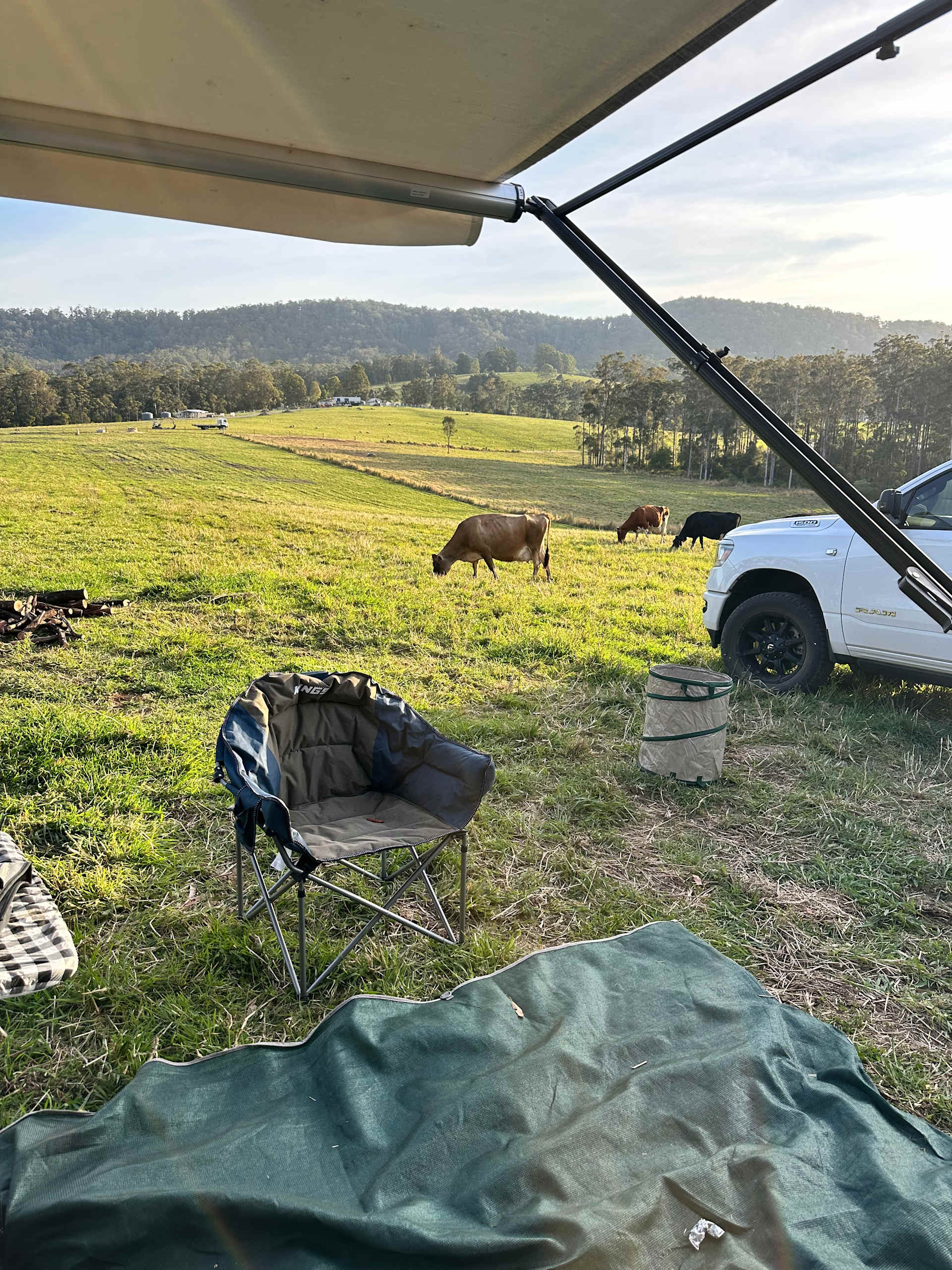 Picture of the site