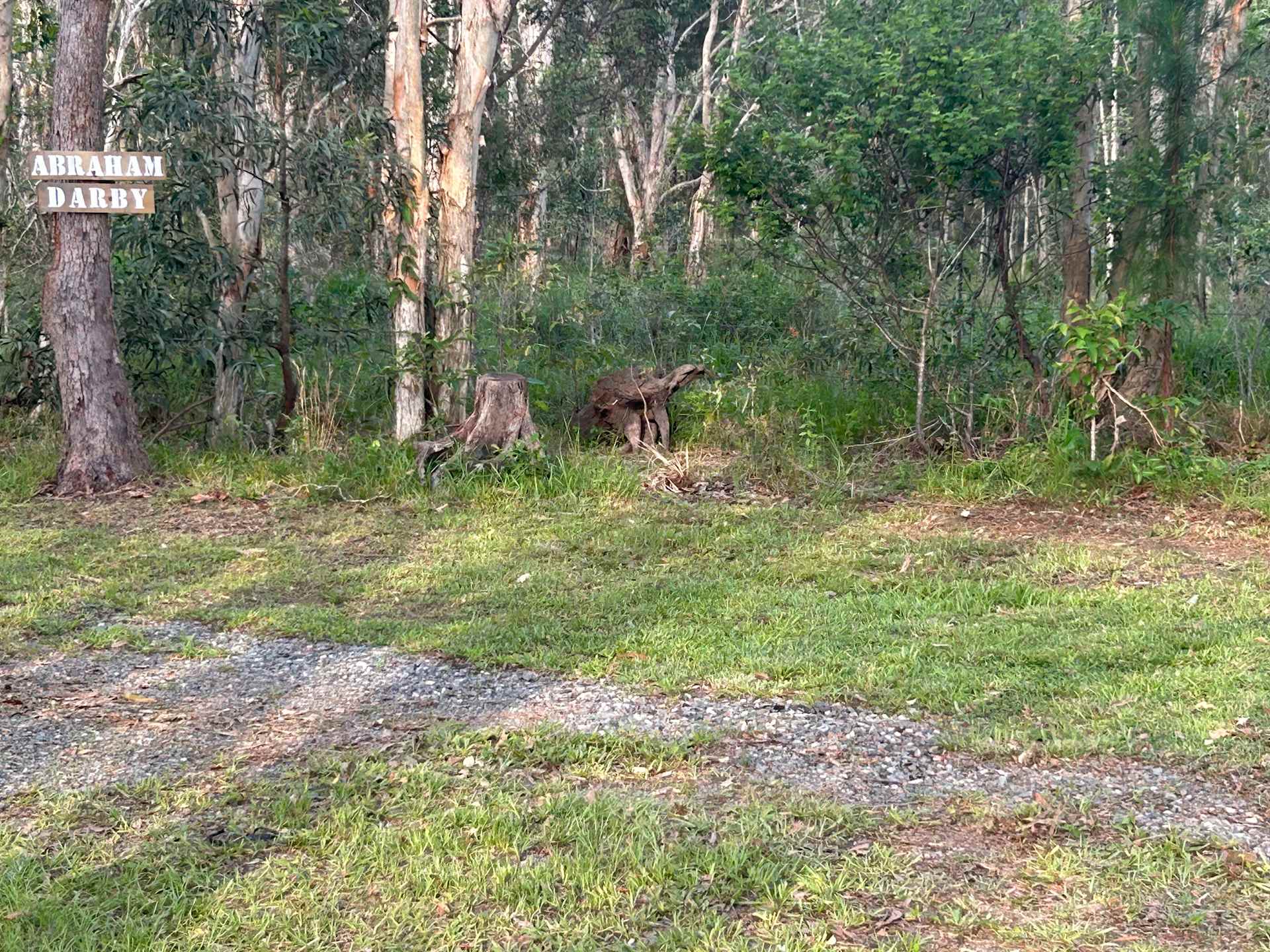 Picture of the site