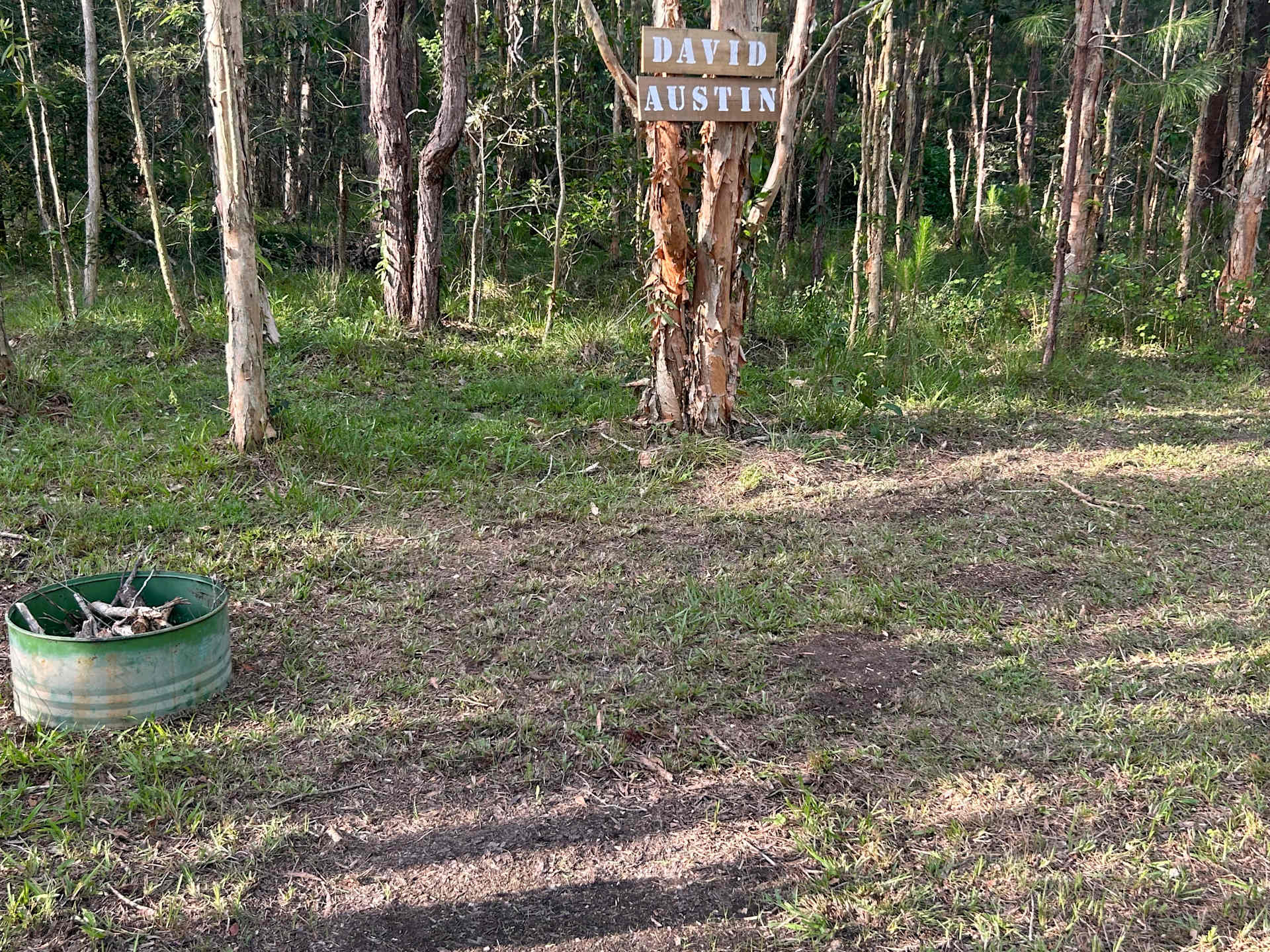 Picture of the site