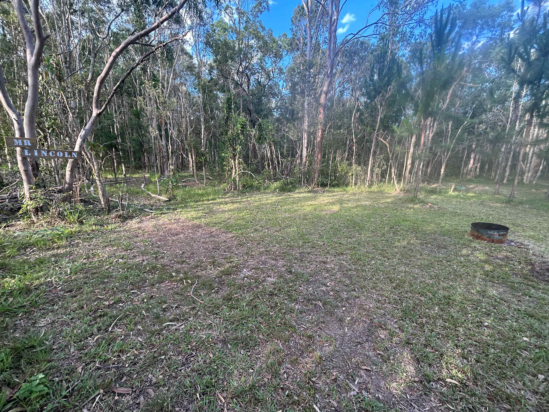 Picture of the site