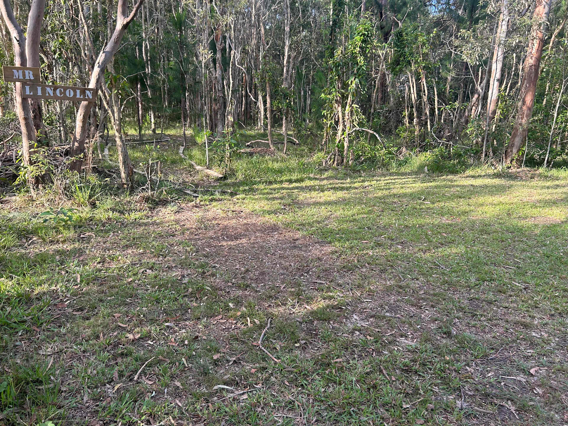 Picture of the site