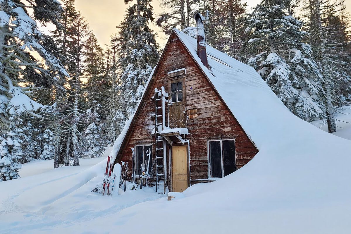 Ludlow Hut - Photo 2
