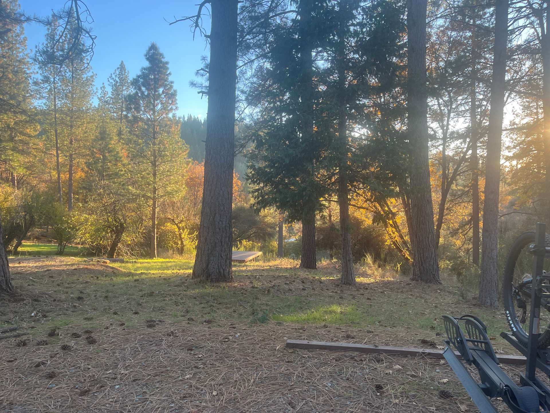 Picture of the site