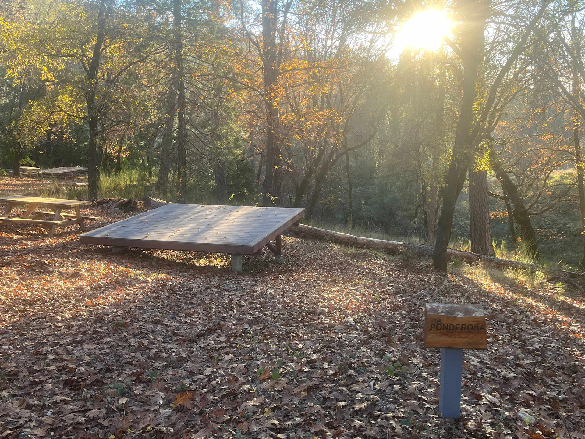 Picture of the site