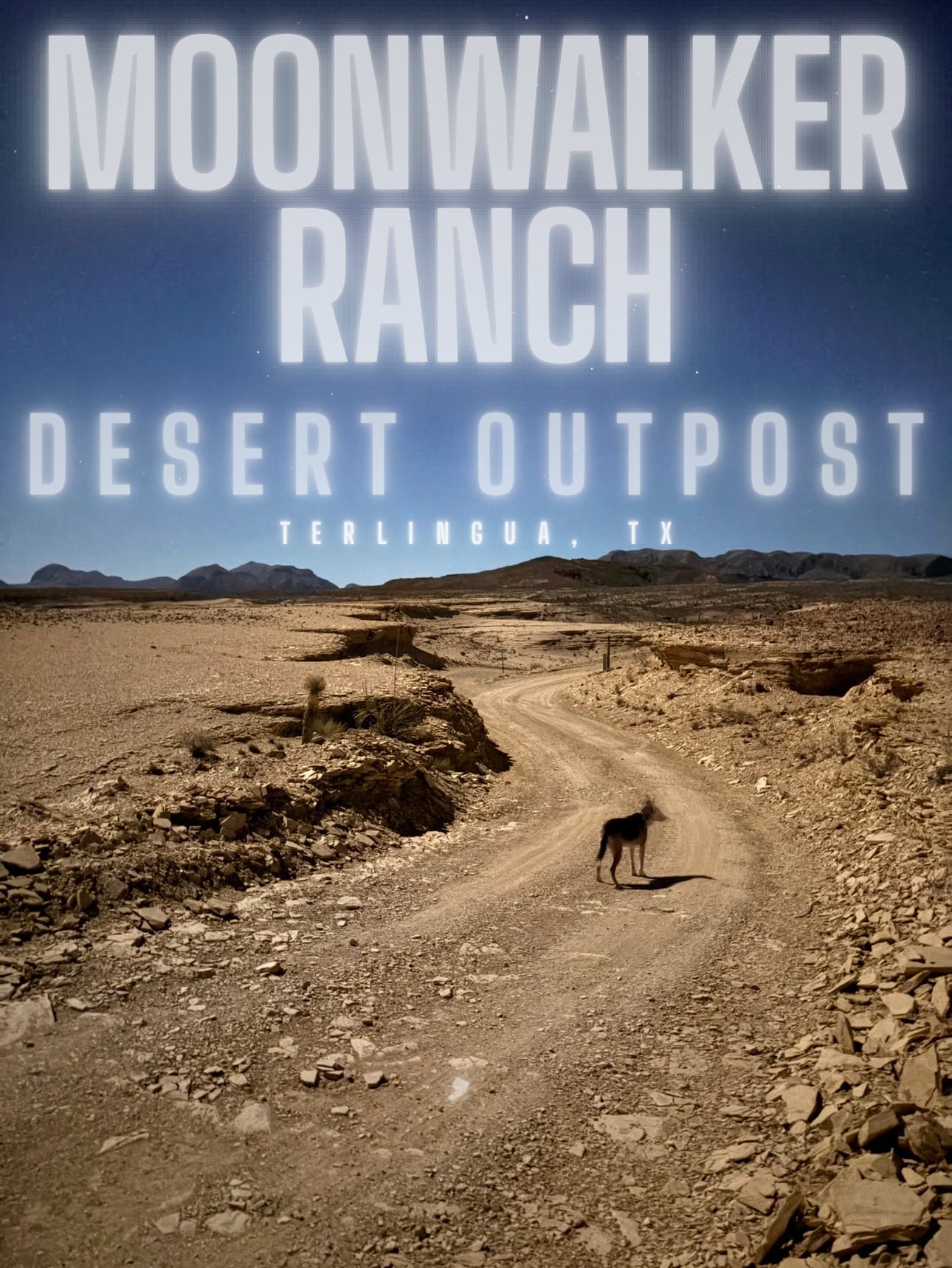 Moonwalker Ranch Camping Terlingua - Photo 3
