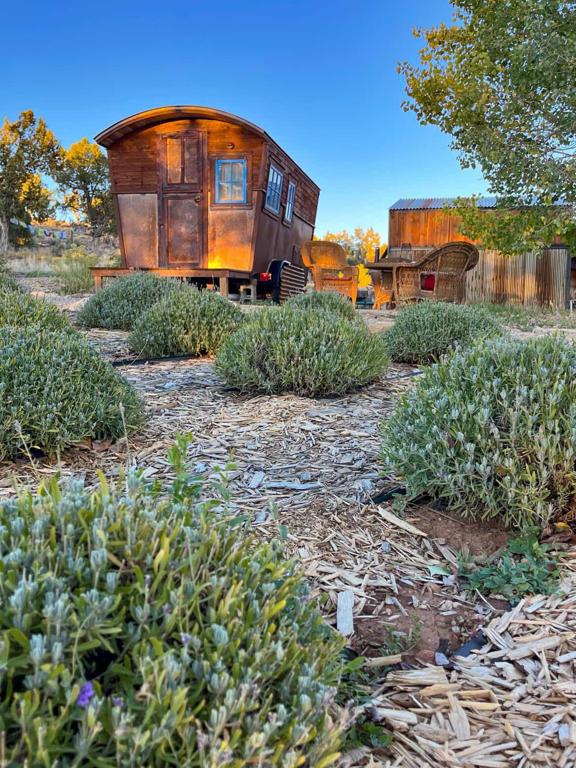 Lavender Farm Bed and Breakfast - Hipcamp in Dolores, Colorado