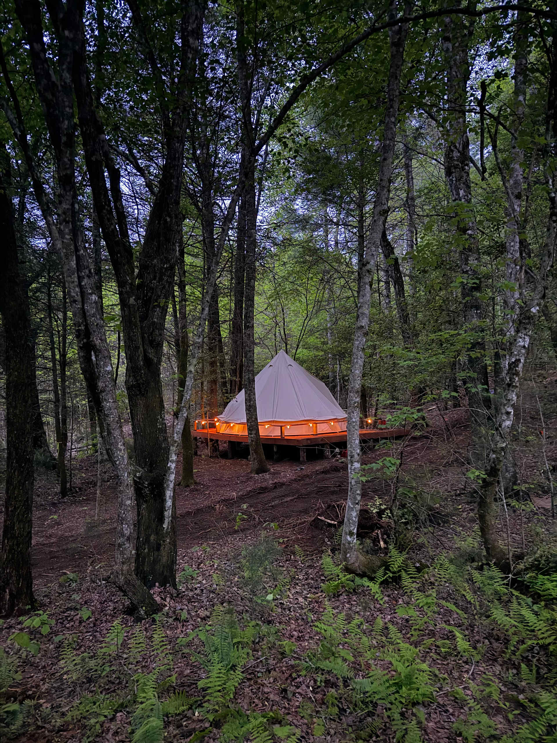 Salty Pines Hideaway