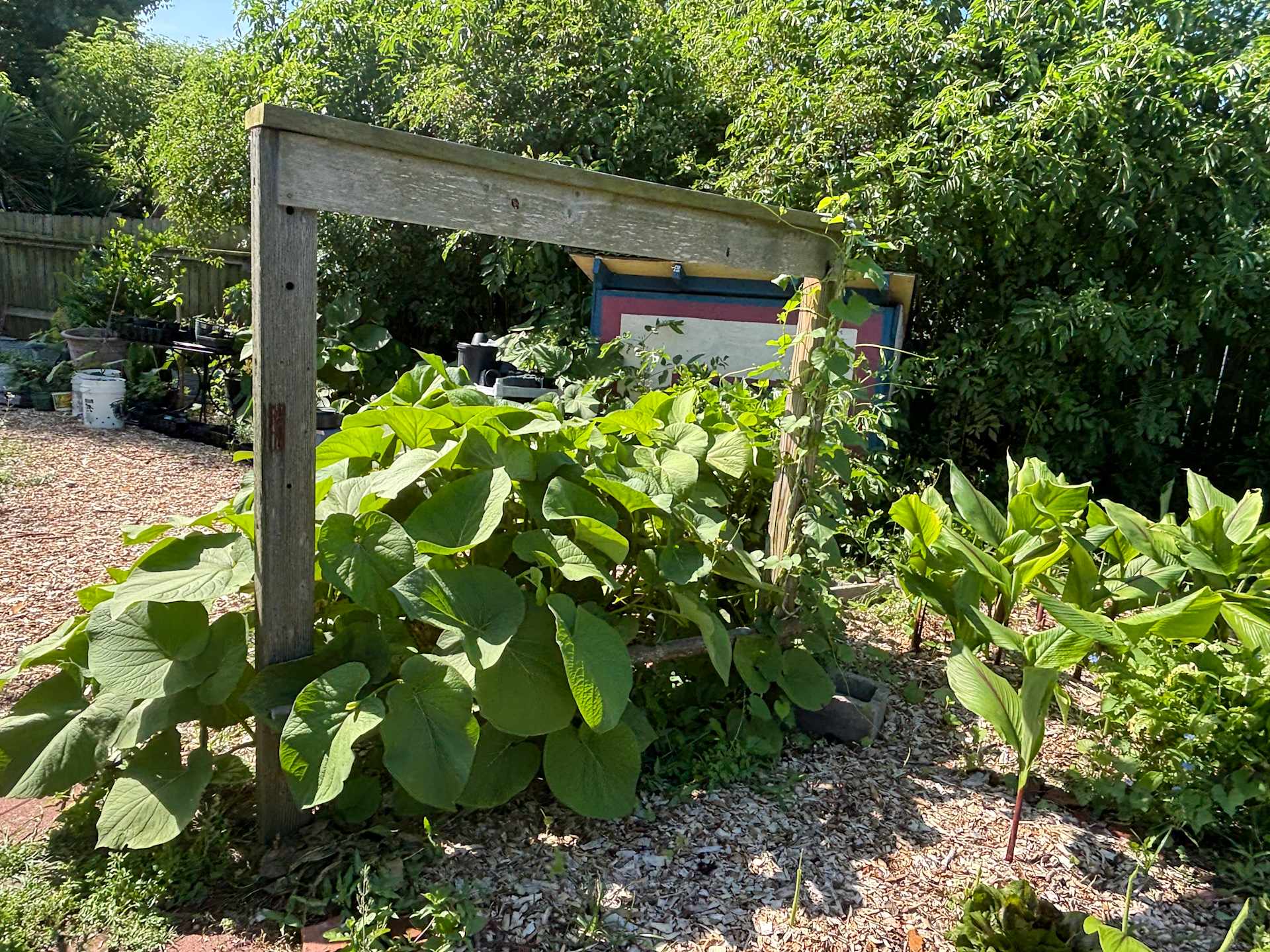Pelican Gardens