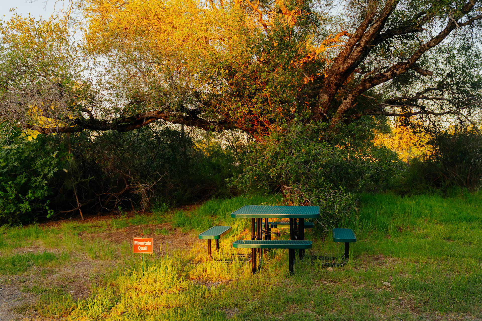 Red Tail Ranch at Yosemite