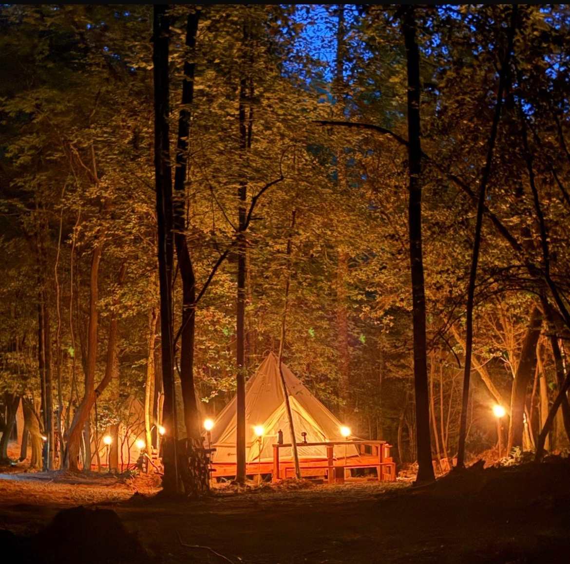 Salty Pines Hideaway