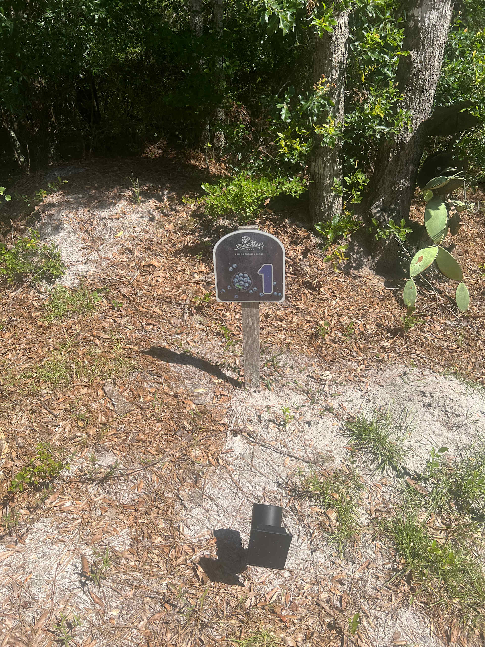 Conveniently posted posted markers