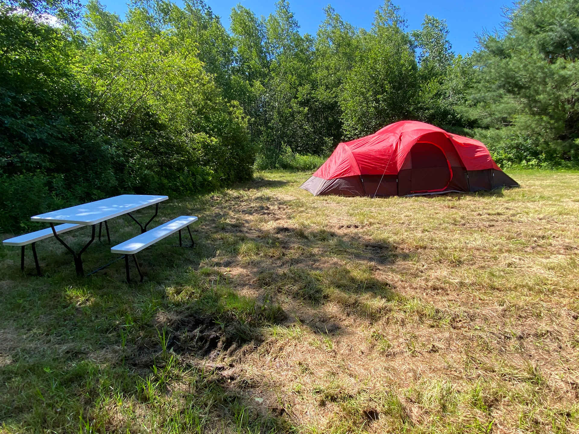 Picture of the site