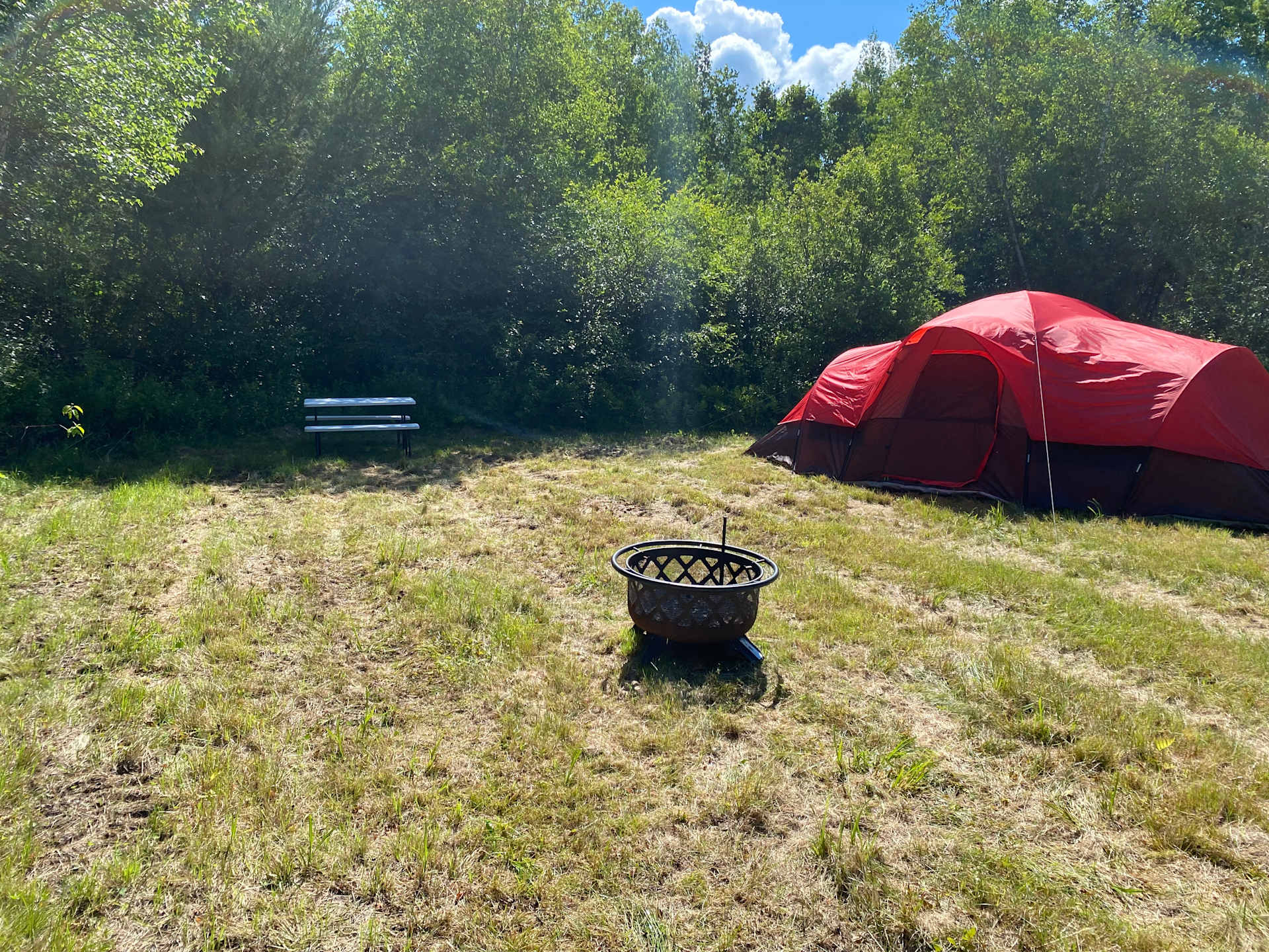 Picture of the site