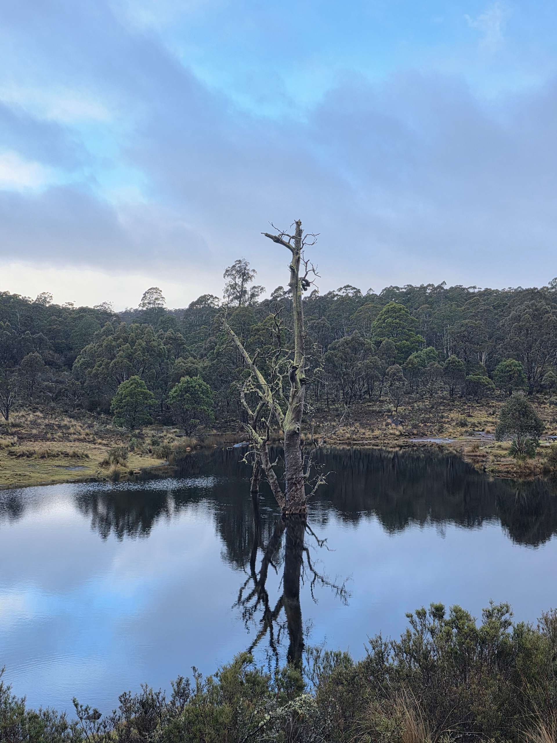 Cradle Mountain Fishery and Camping