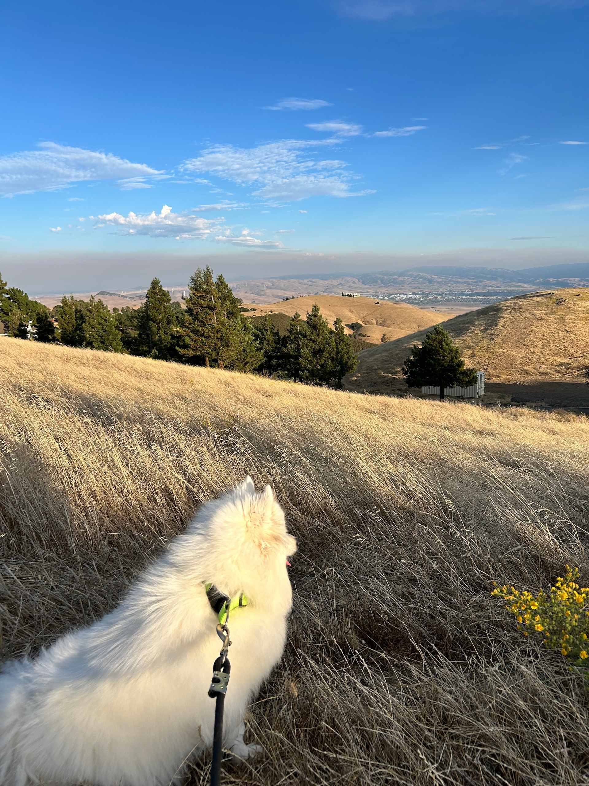 Majestic views
