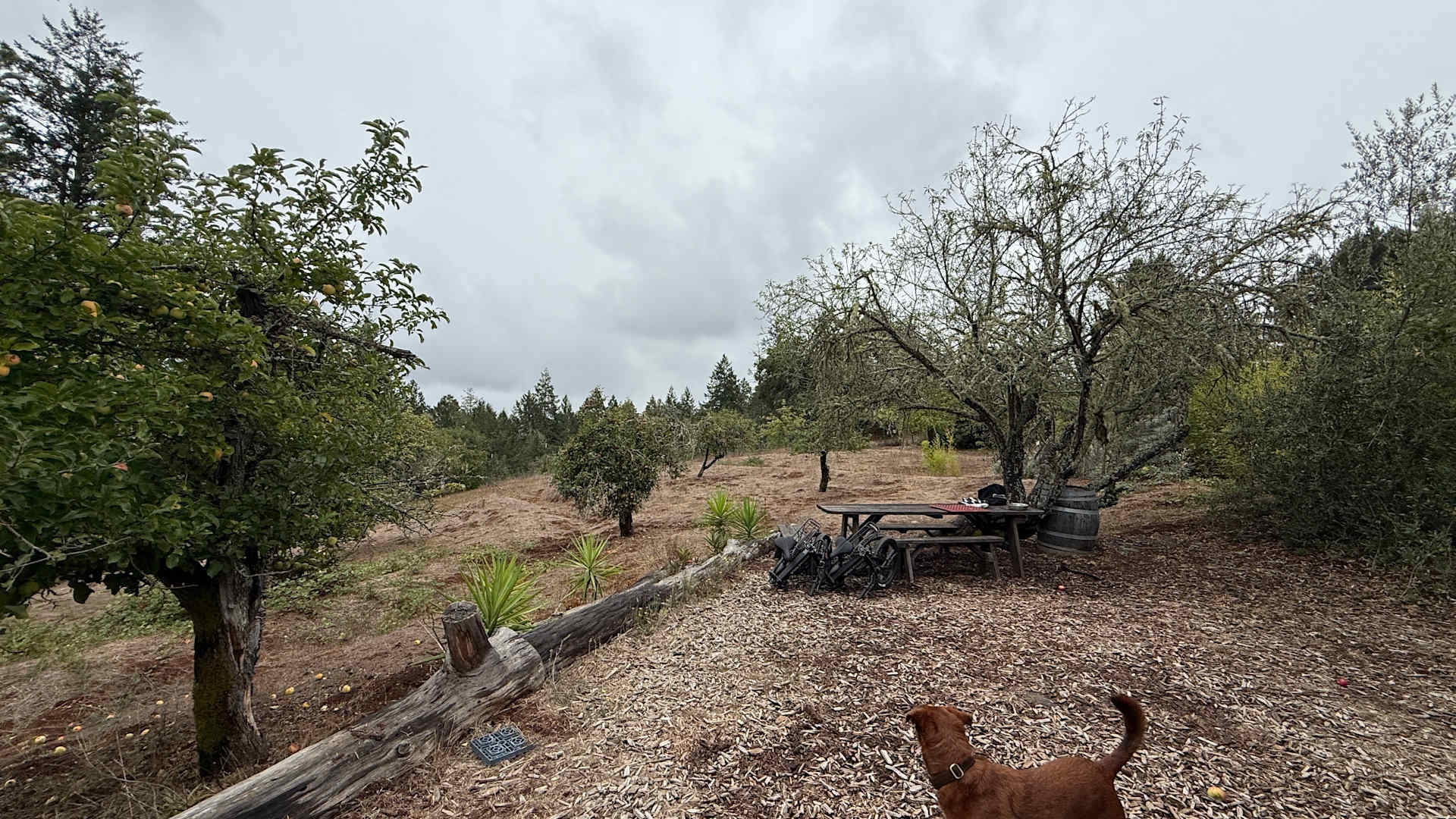 Rancho Laslendini