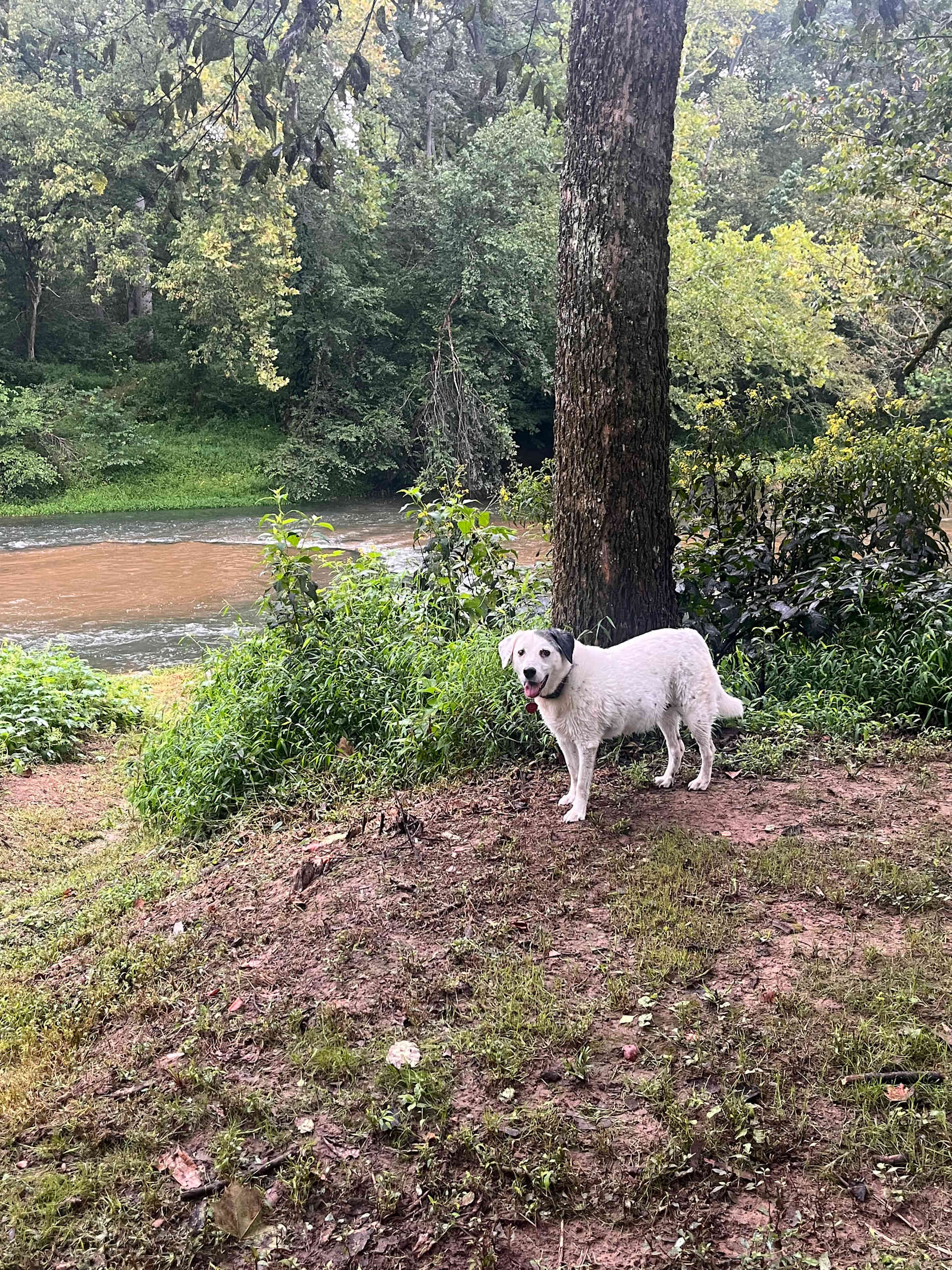Private Camping on the Hazel River