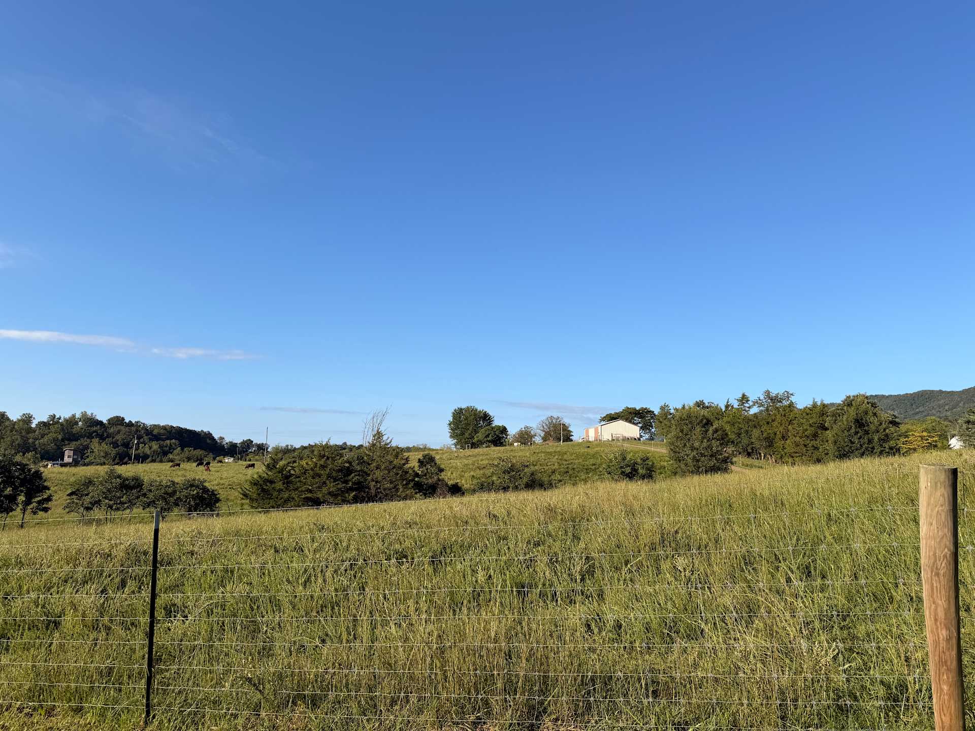 Our Farm in Strasburg, VA