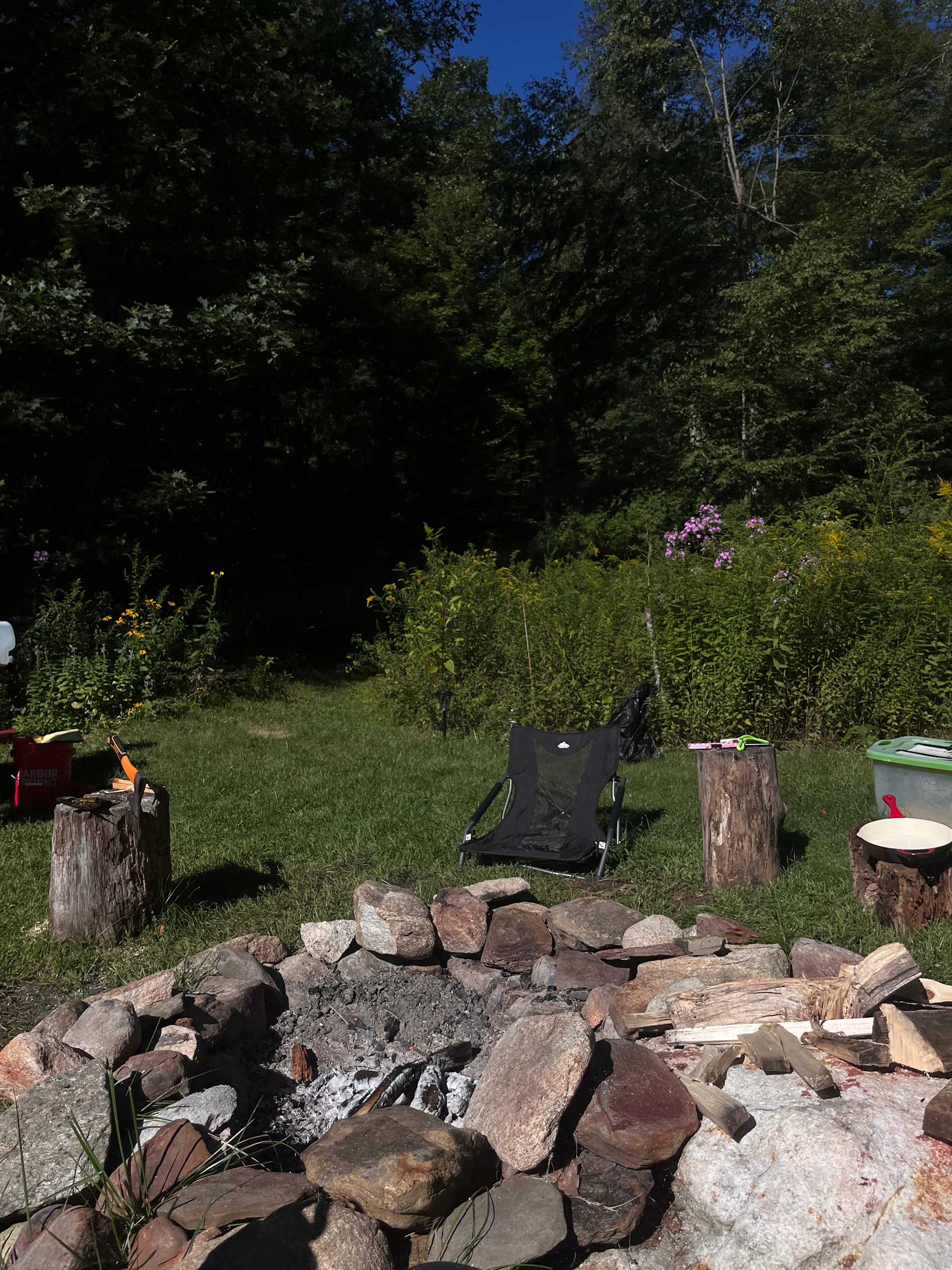 Fernwood on Alan F.’s Land