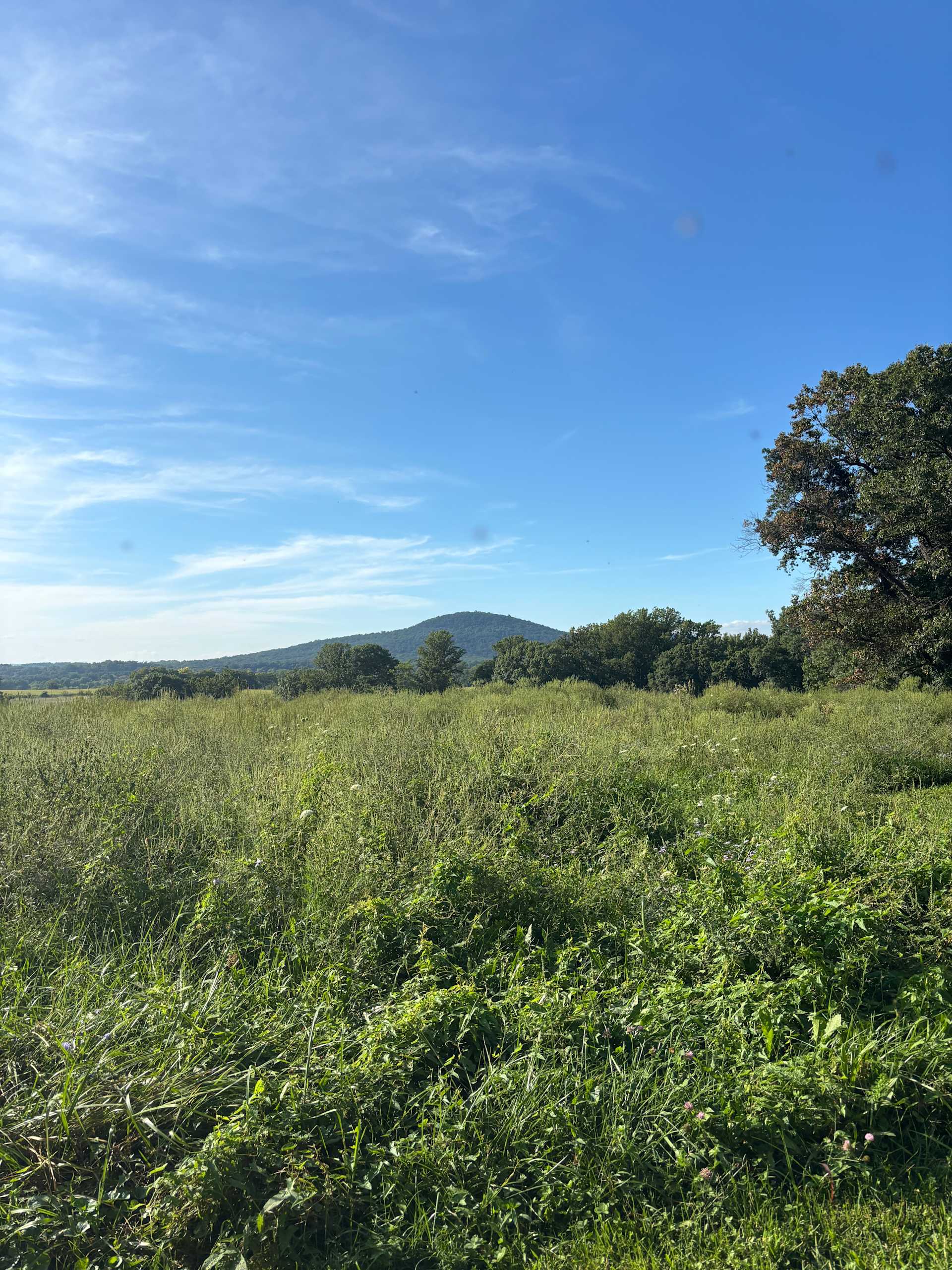 Camp Comus, LLC