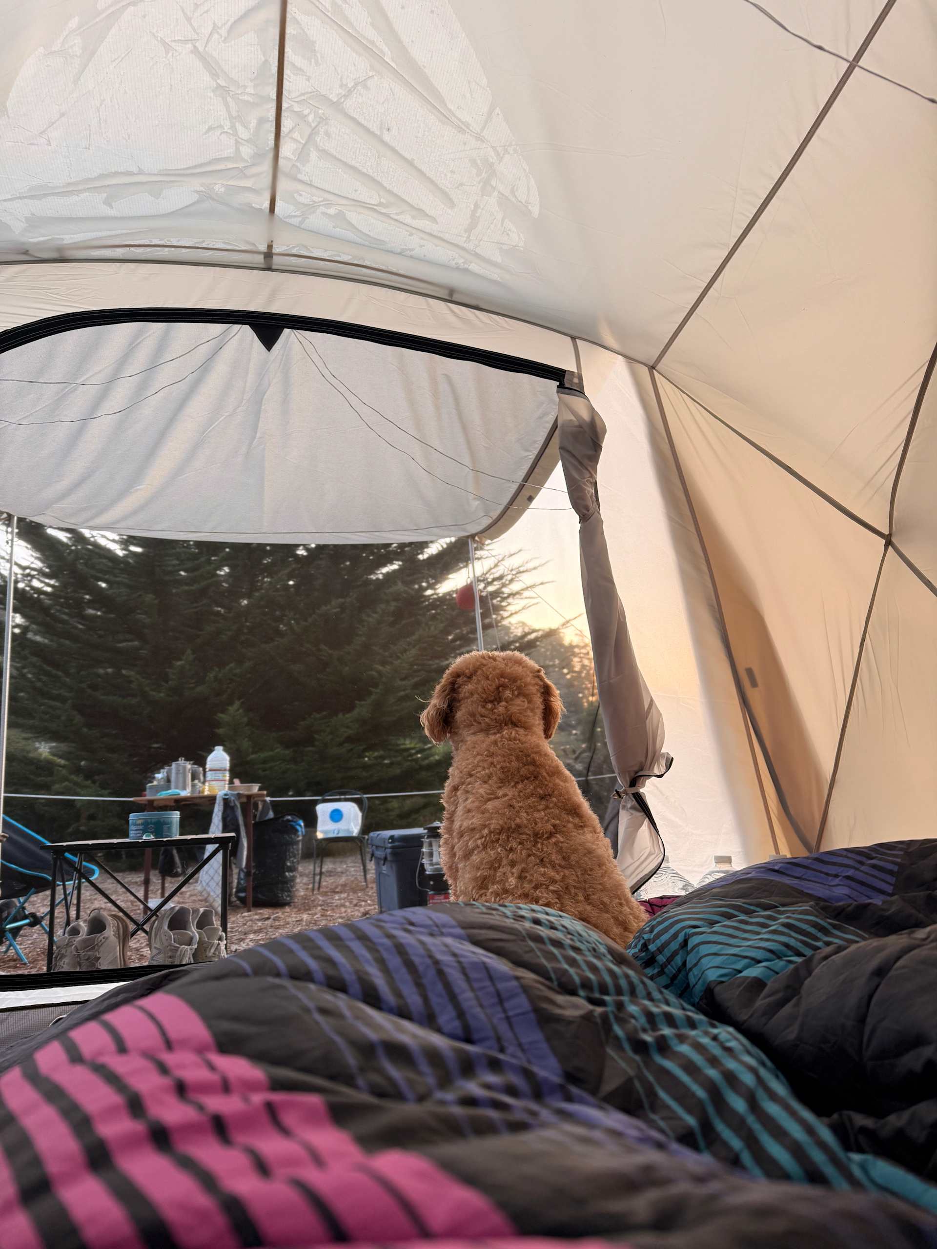 Salty Fox Retreat @ Peaceful Valley