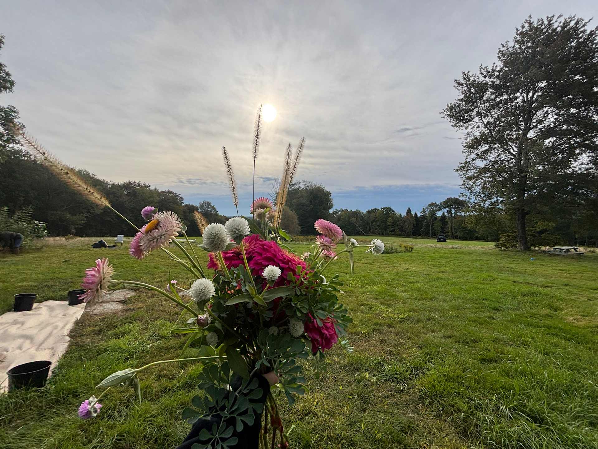 Peacefield Farm