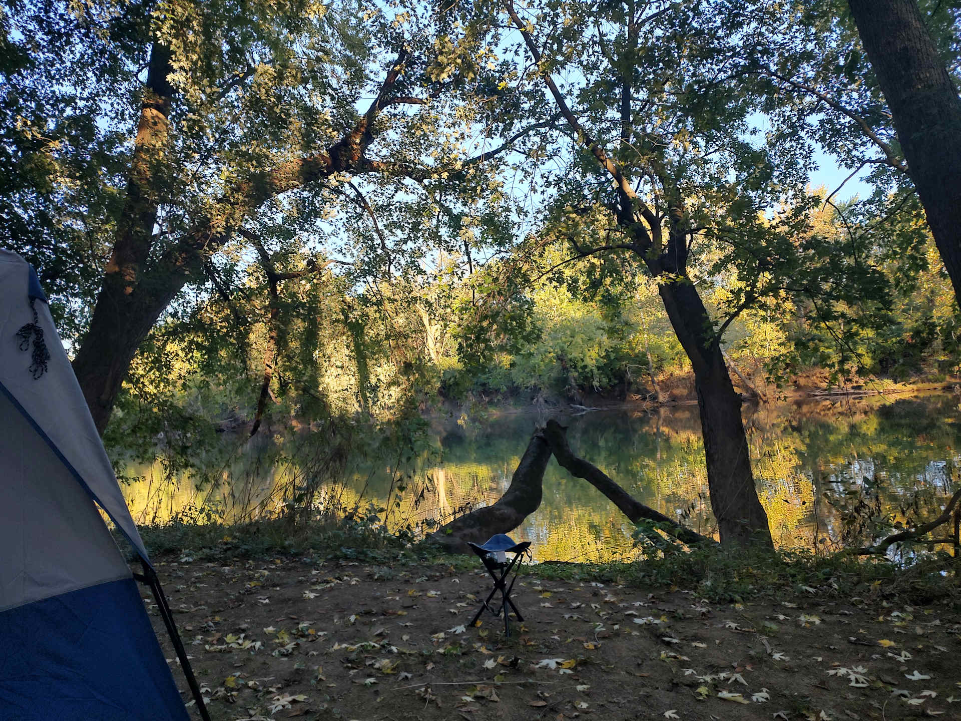 Picture of the site