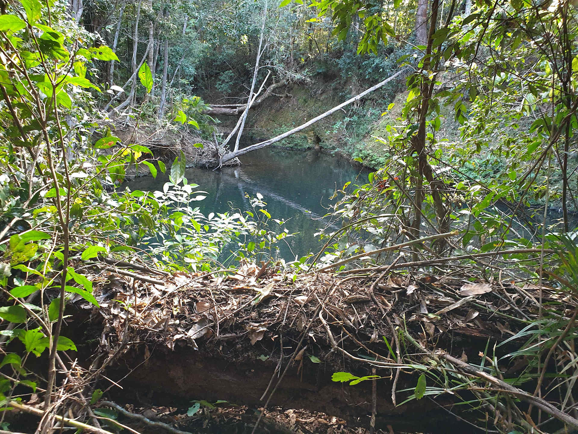 Panoramic Trails - Photo 2