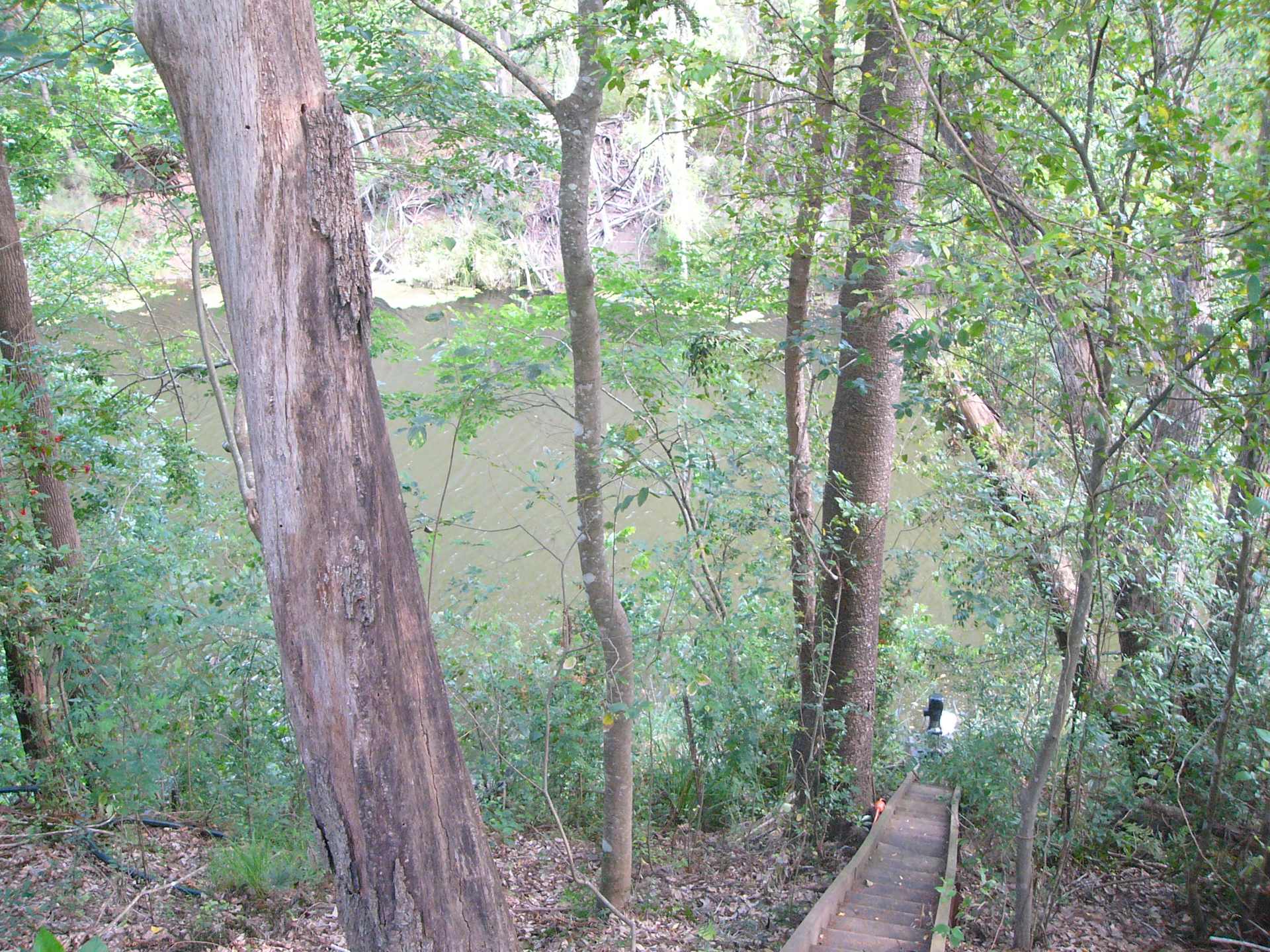 Yabba Landing - Photo 2