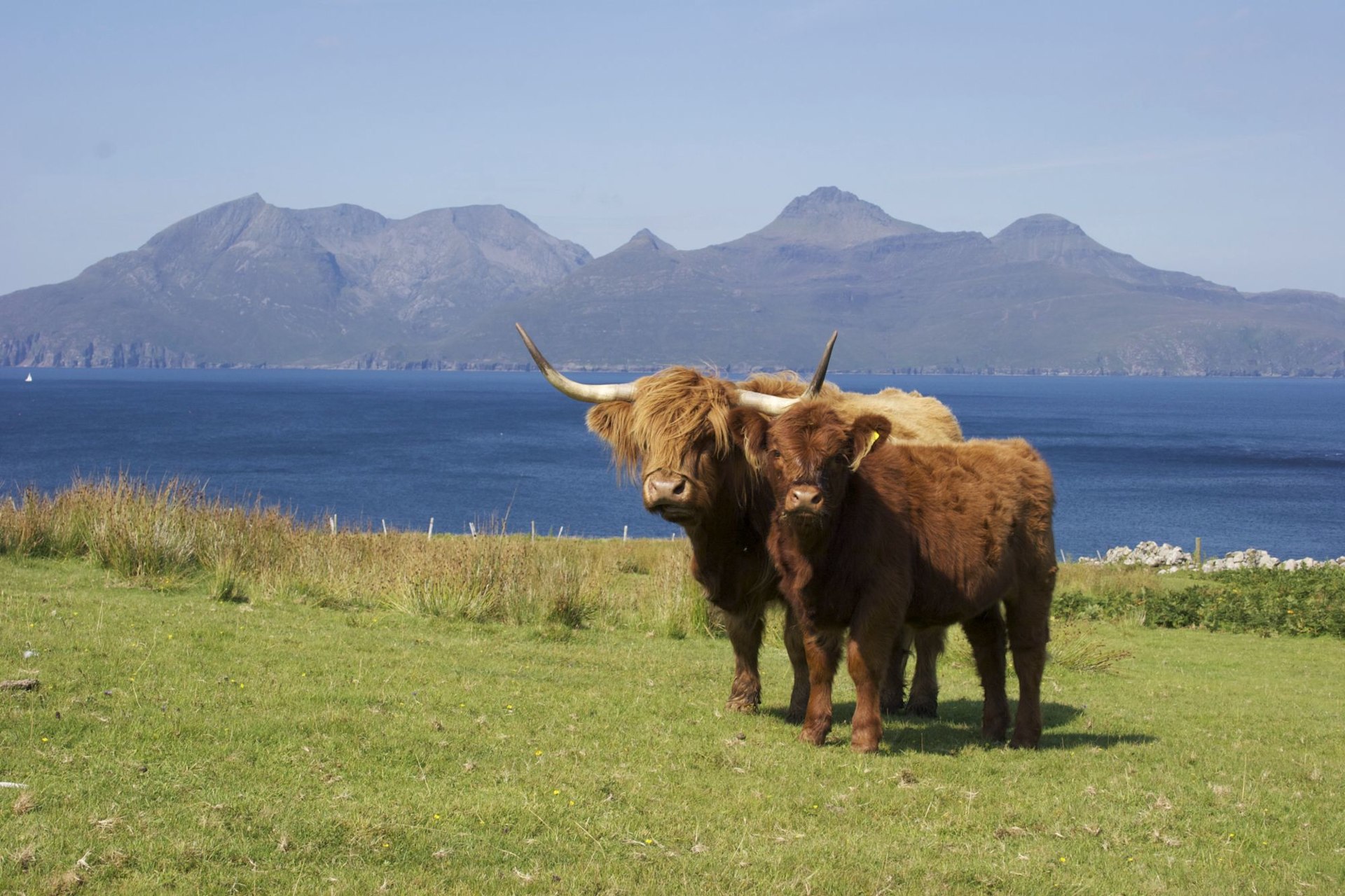 Scotland