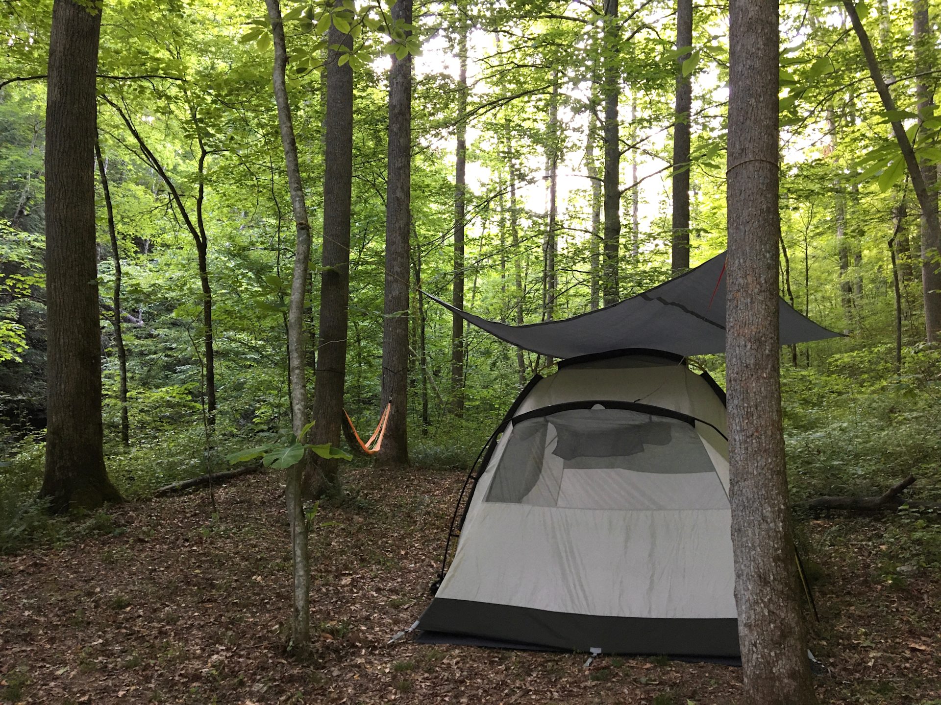 Hike in campsite 4 next to the river