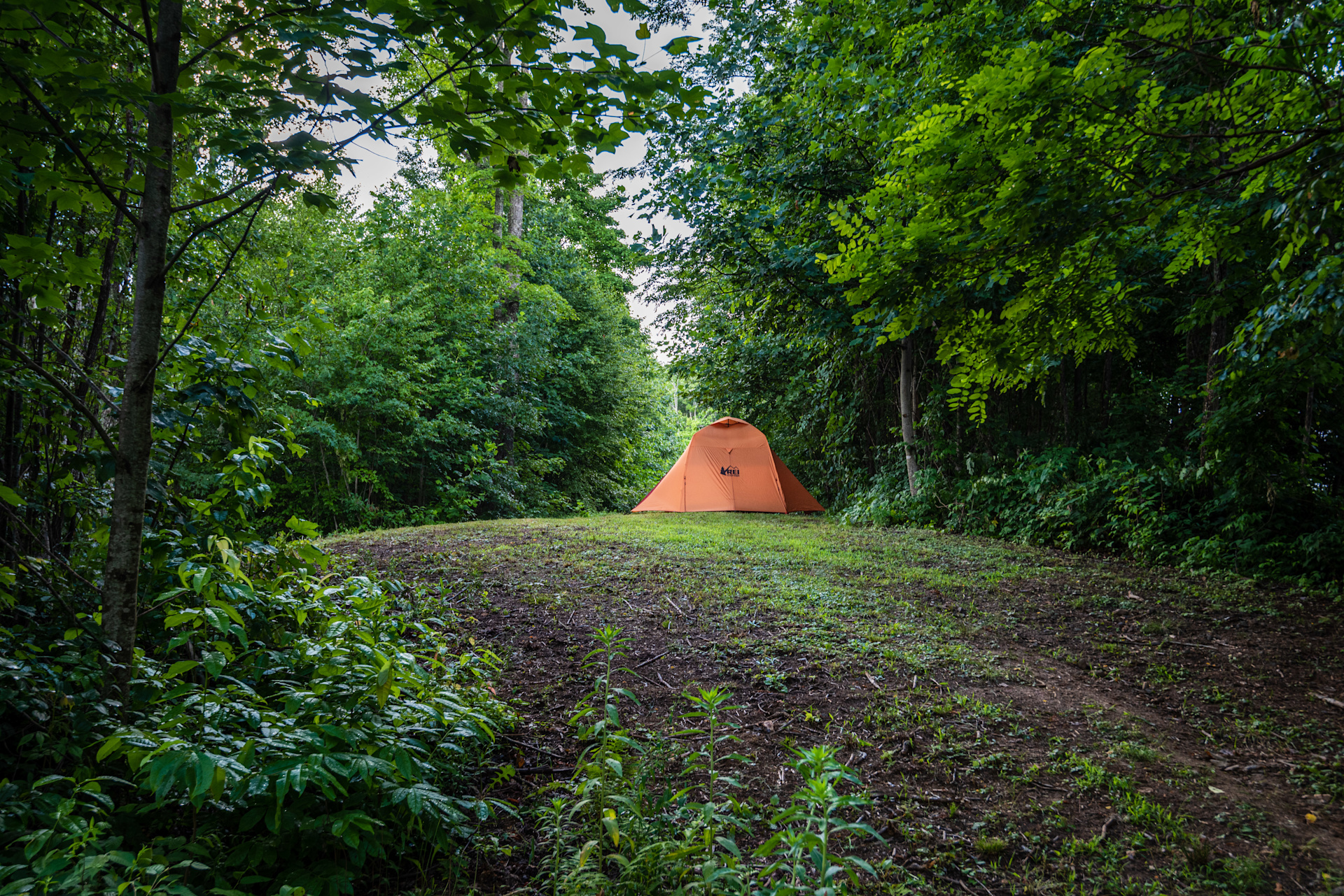 site  8