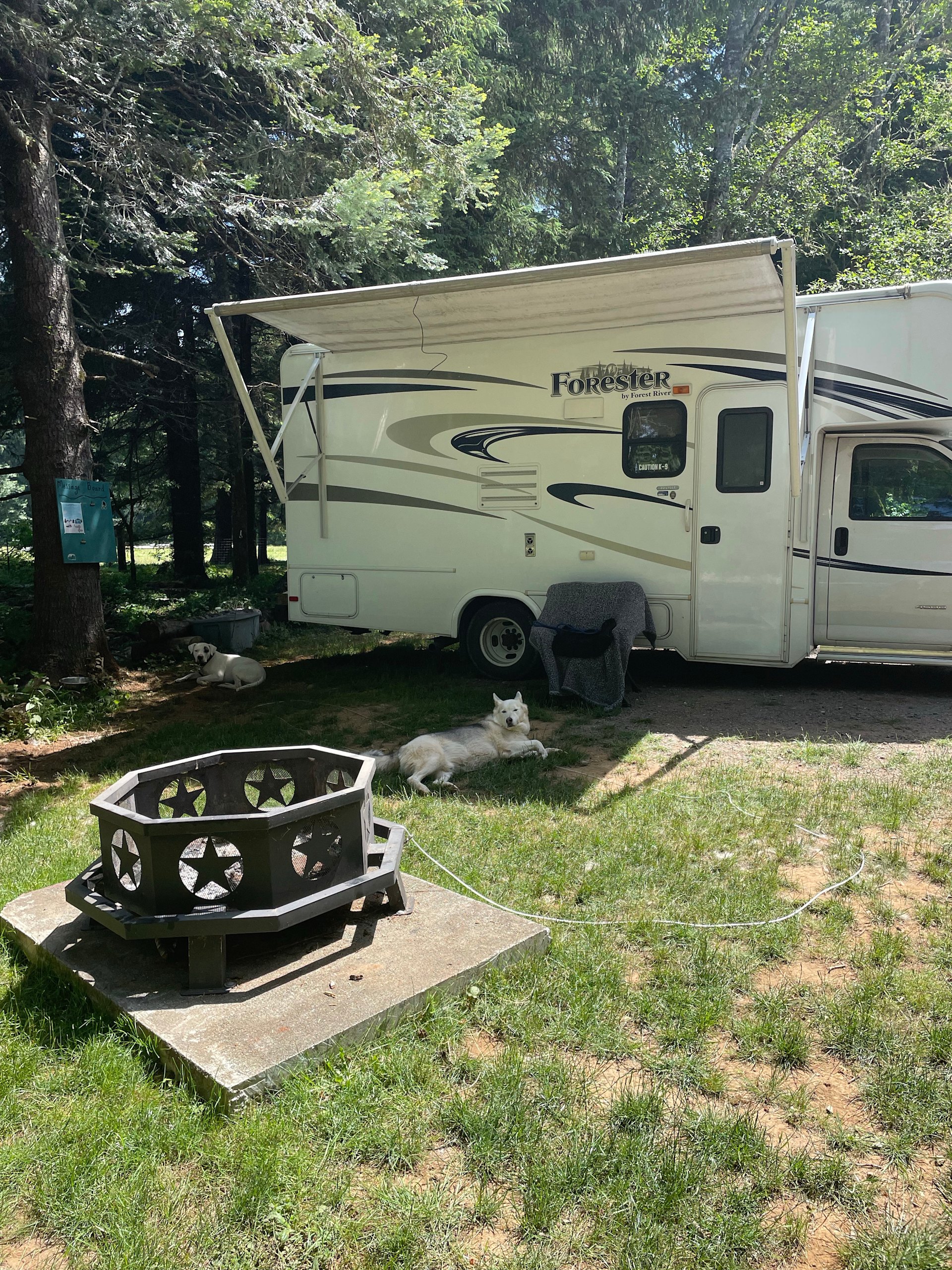 Coastal Forest Farm Camp