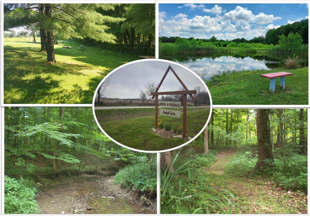 Grins & Pickin's CampFarm