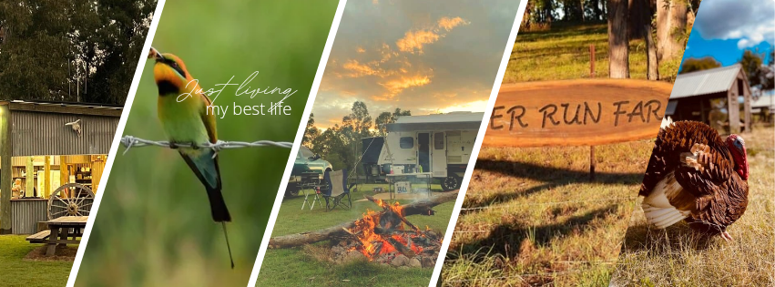 River Run Farm Camping