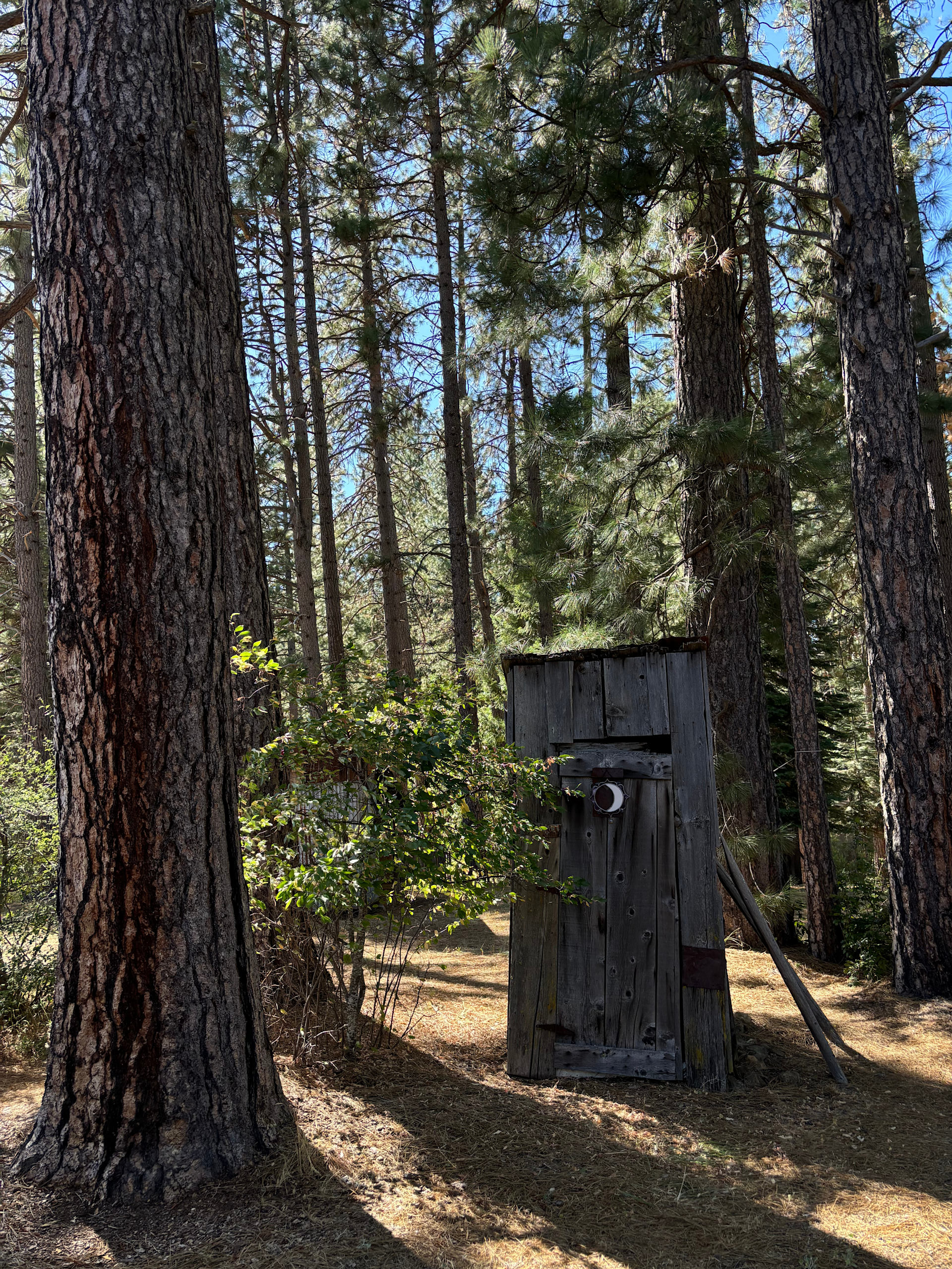 The outhouse! Just like in the old days. :)