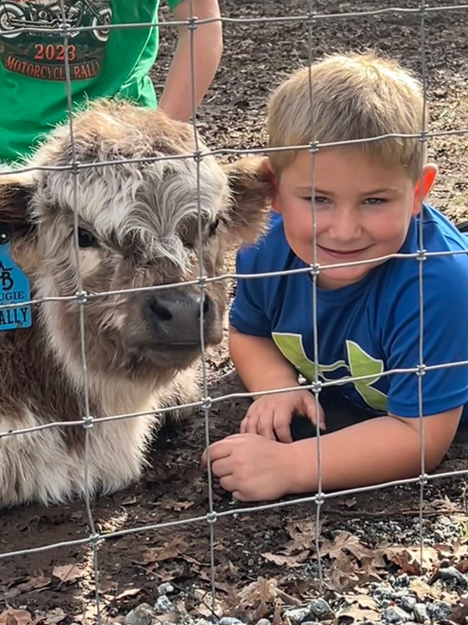 Paradise Valley Cattle Company